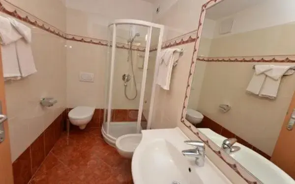 Bathroom in Hotel Zirmes