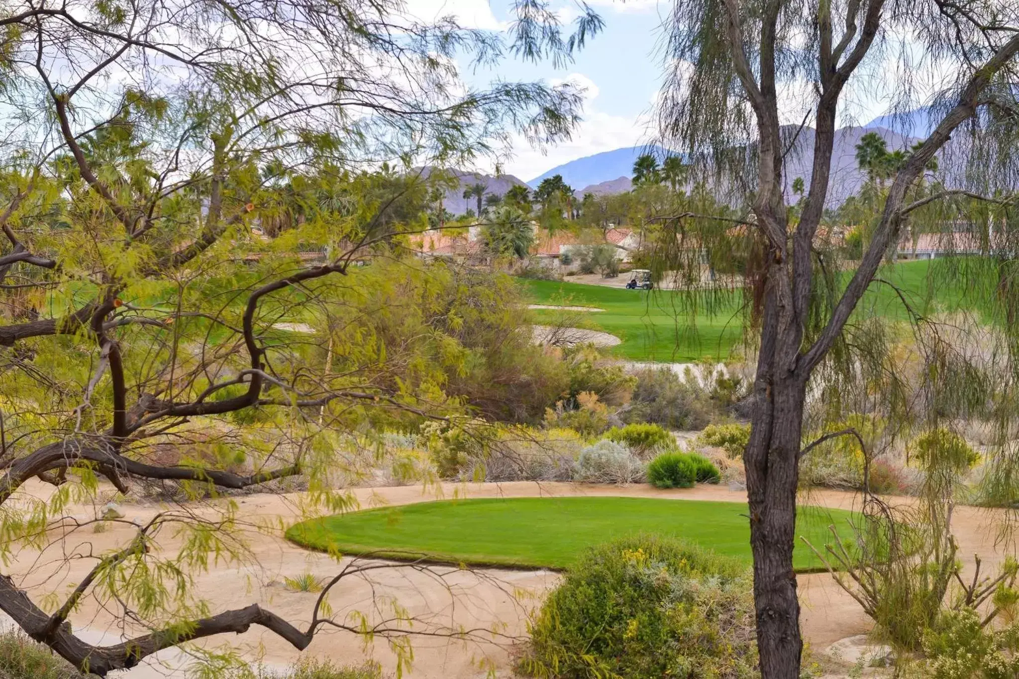 Photo of the whole room, Garden in Residence Inn Palm Desert