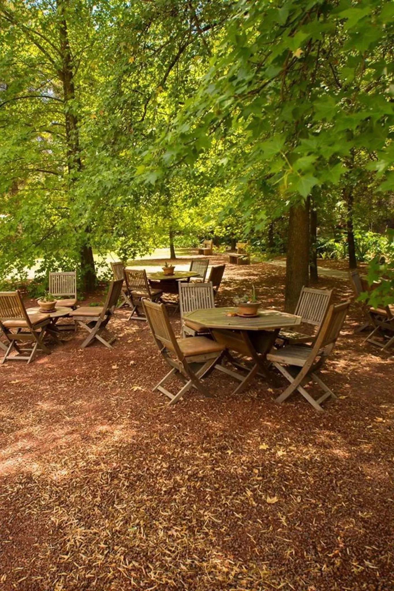 Day in Hotel Rancho San Cayetano