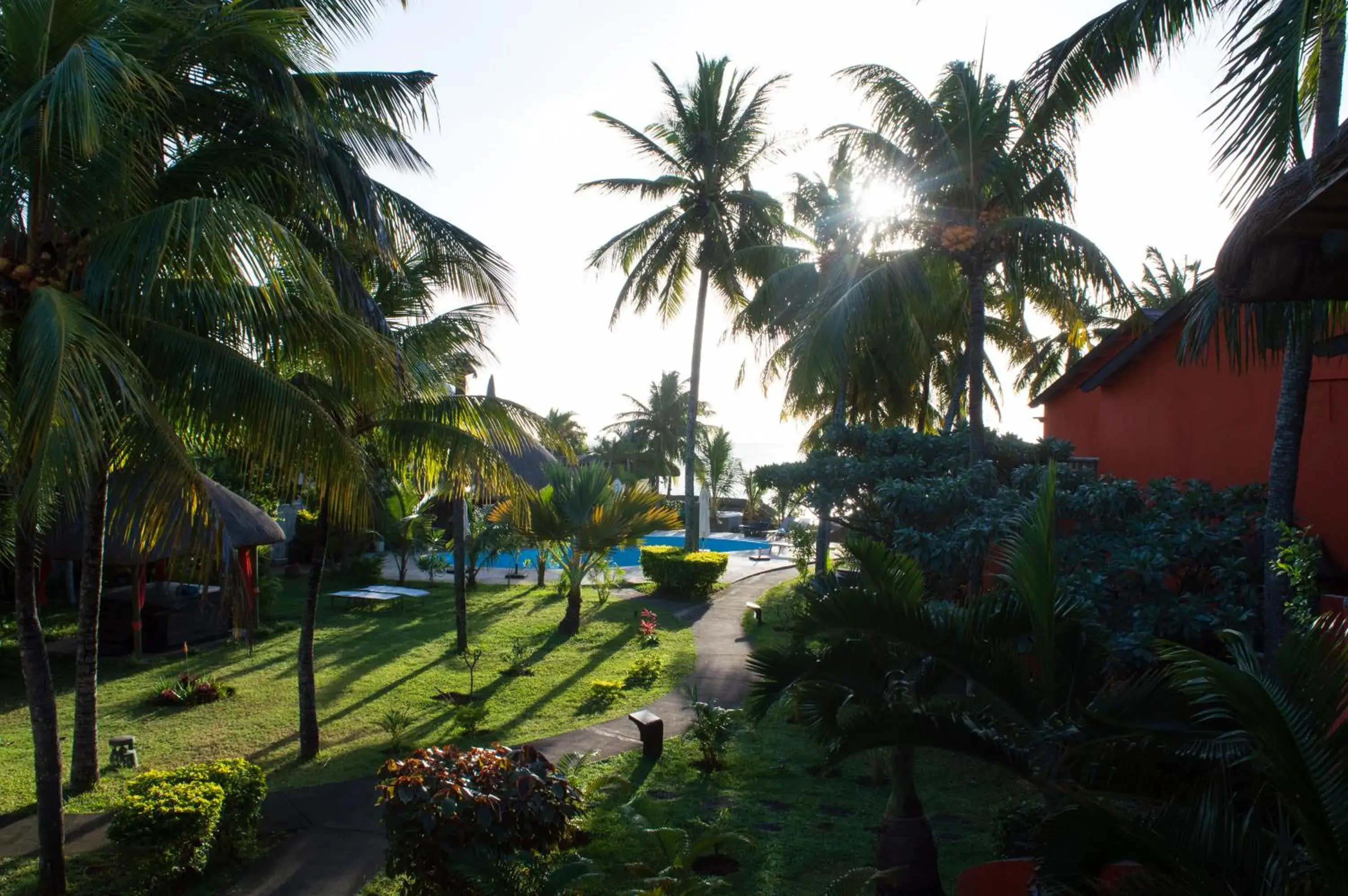 Garden in Flowers of Paradise