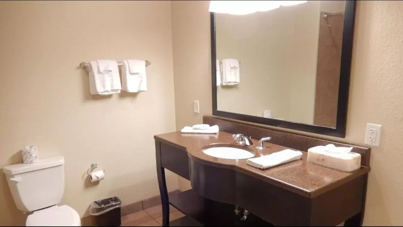 Bathroom, Coffee/Tea Facilities in Motel 6-Colorado City, TX