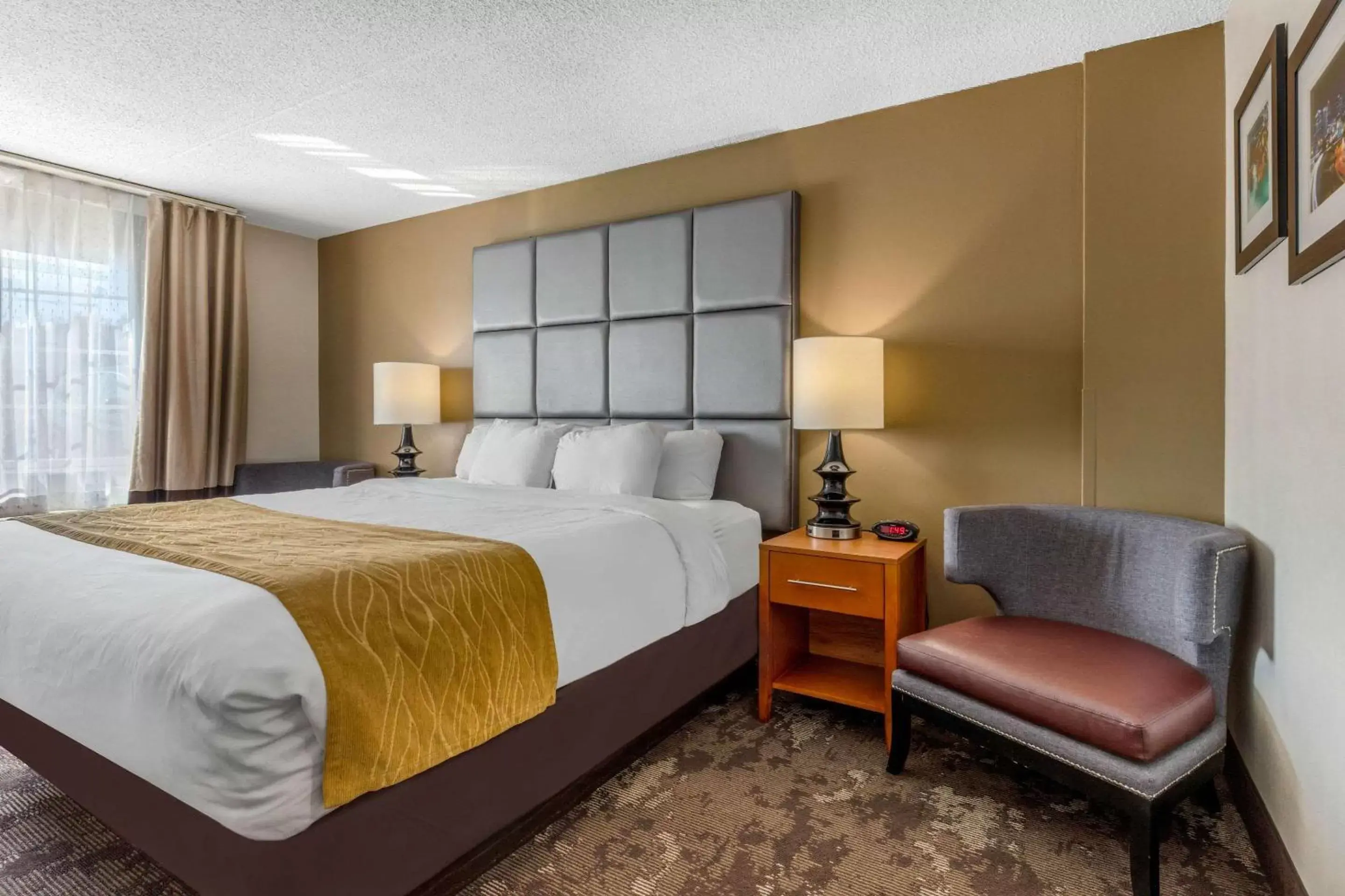 Photo of the whole room, Bed in Comfort Inn & Suites Nashville-Antioch