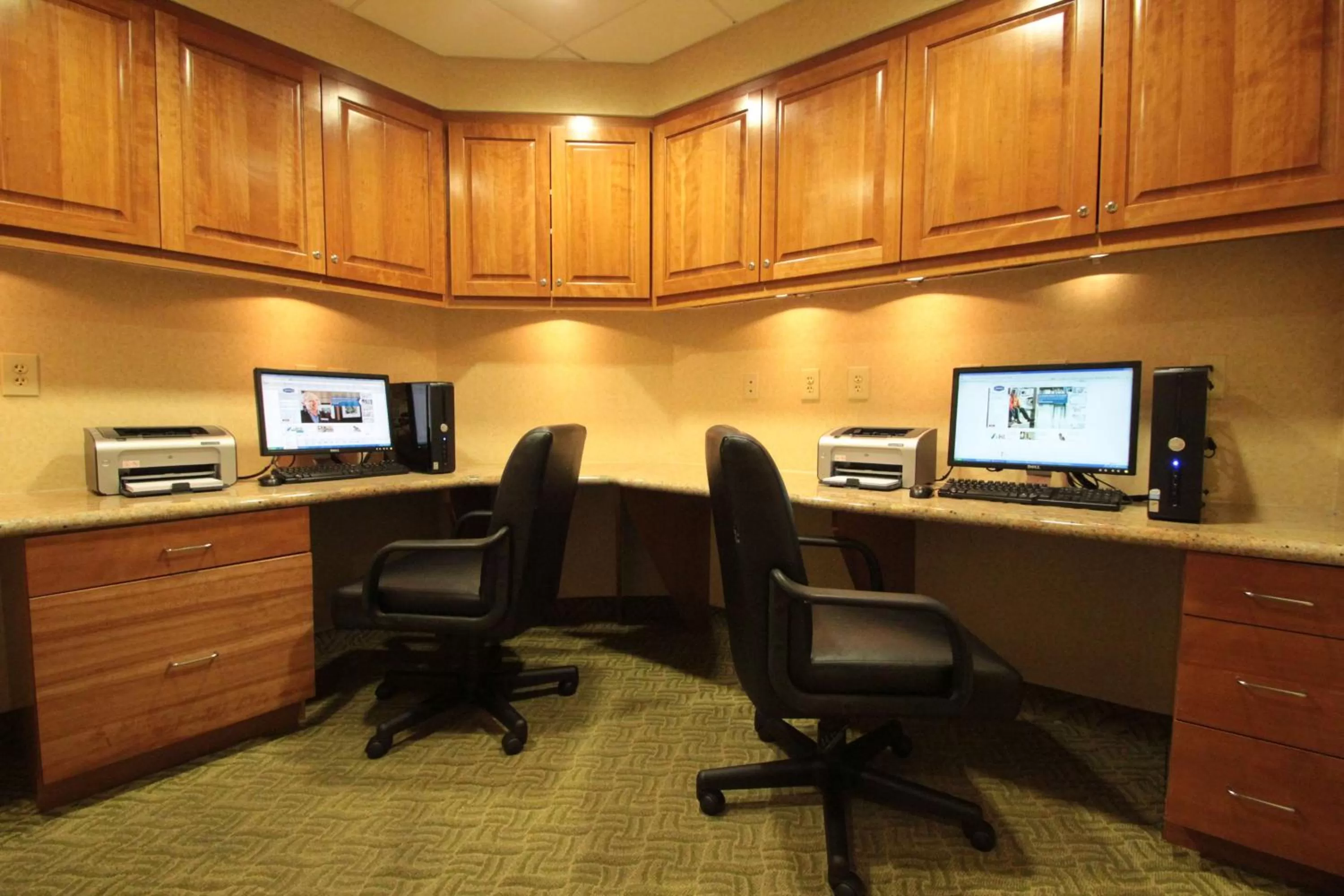 Business facilities in Hampton Inn Hampton-Newport News