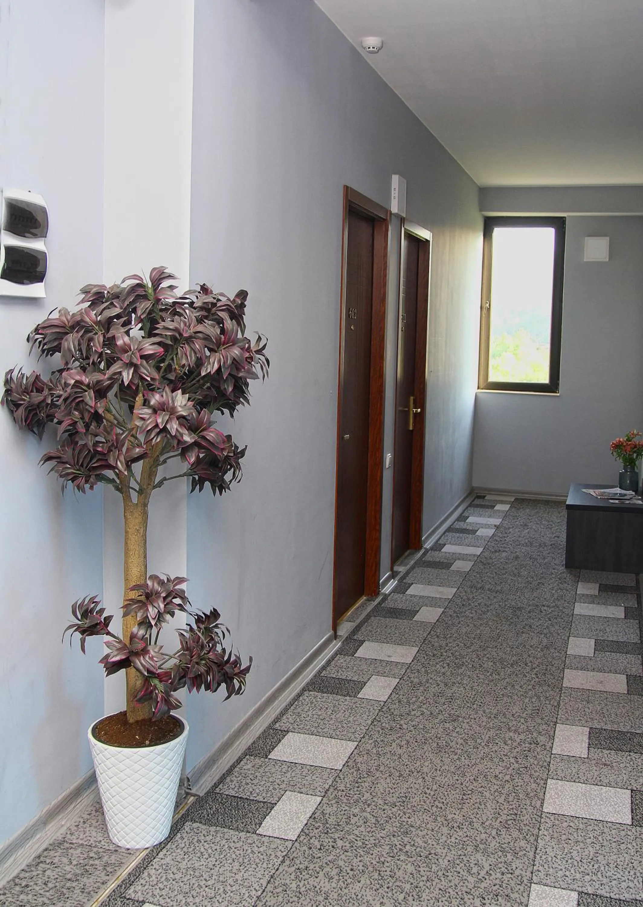 Area and facilities in Rogalux Blue