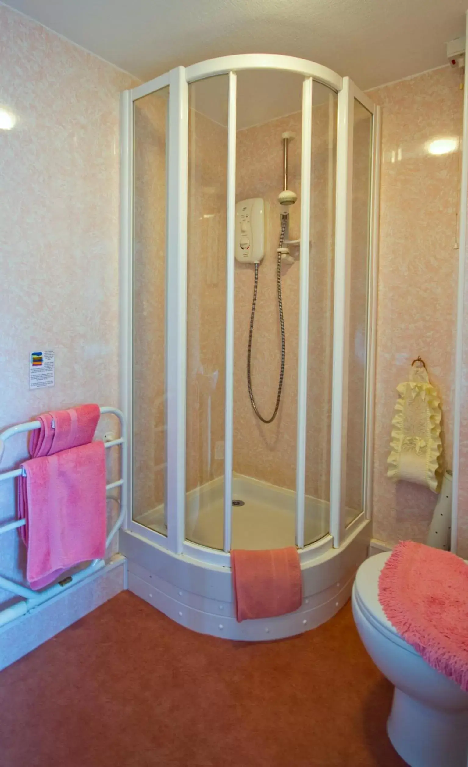 Shower, Bathroom in Gwesty Minffordd Hotel