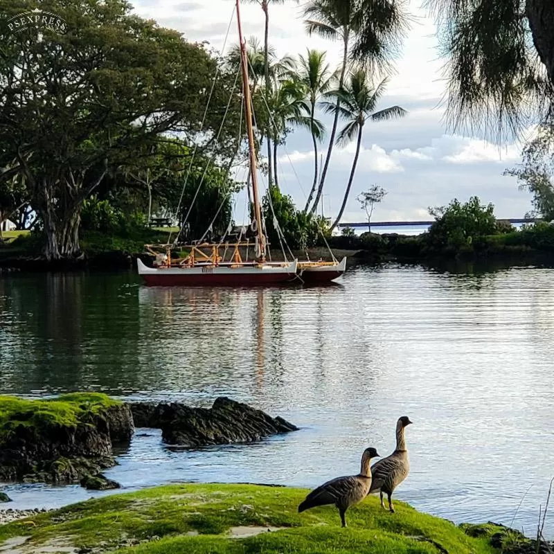 Hilo Reeds Bay Hotel