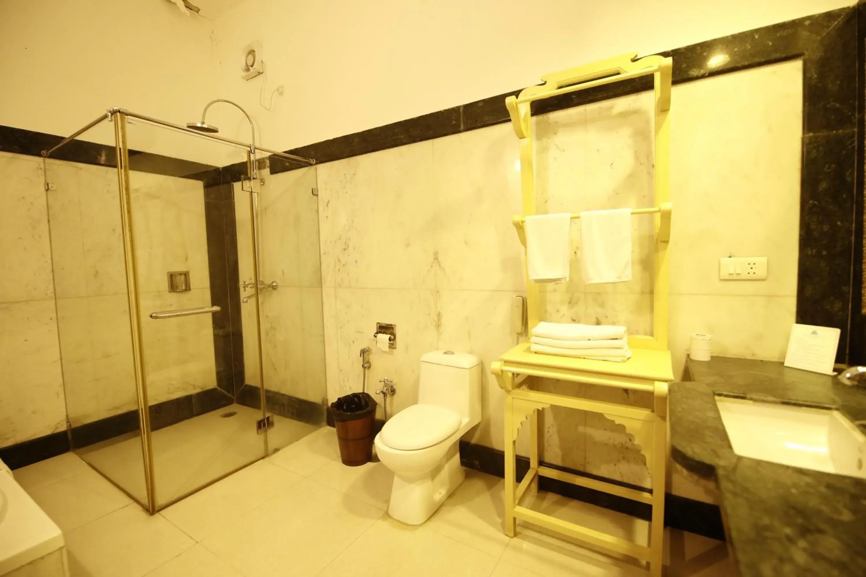Shower, Bathroom in Hotel Narain Niwas Palace