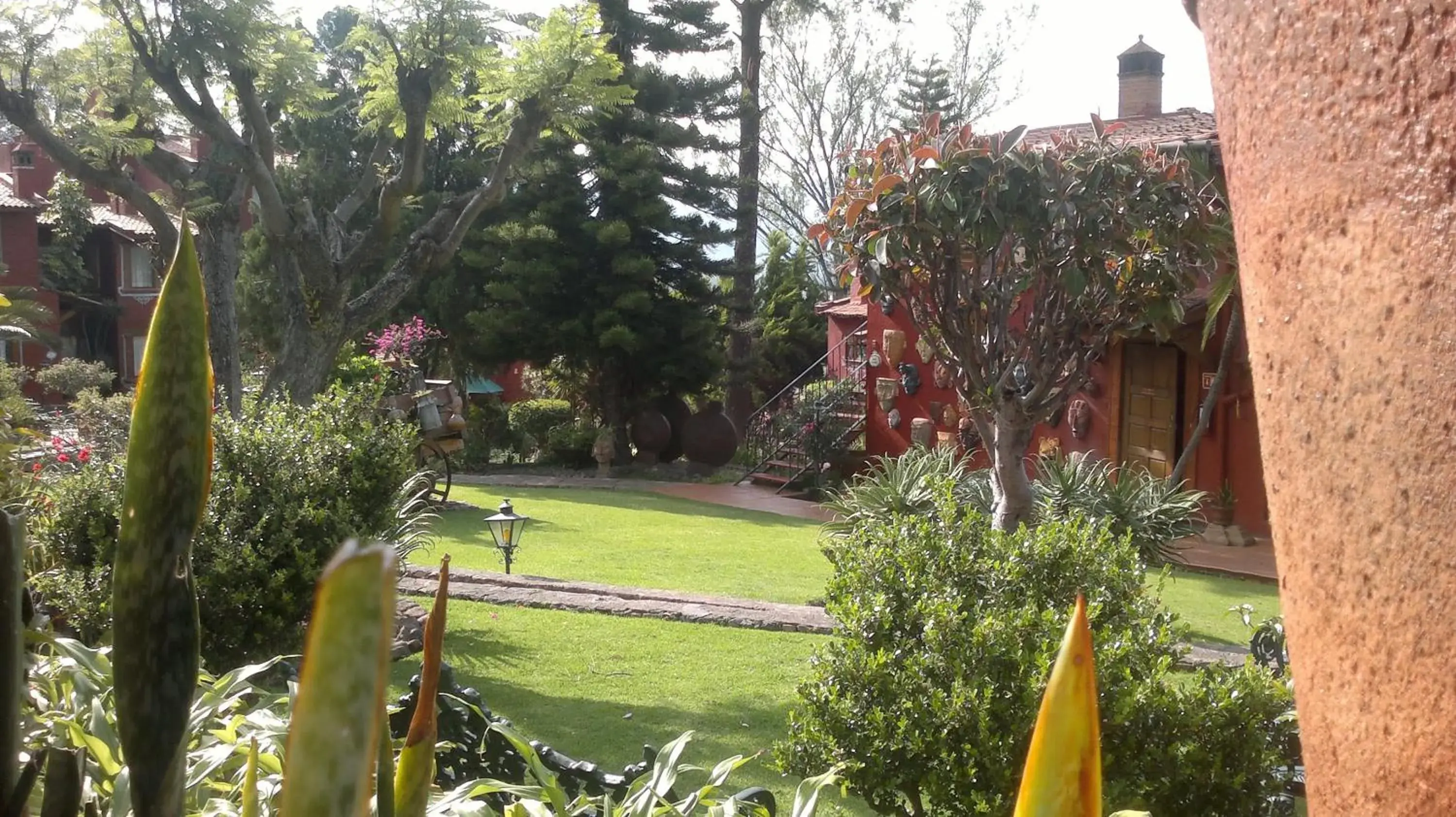 Garden in Villa San Jose Hotel & Suites