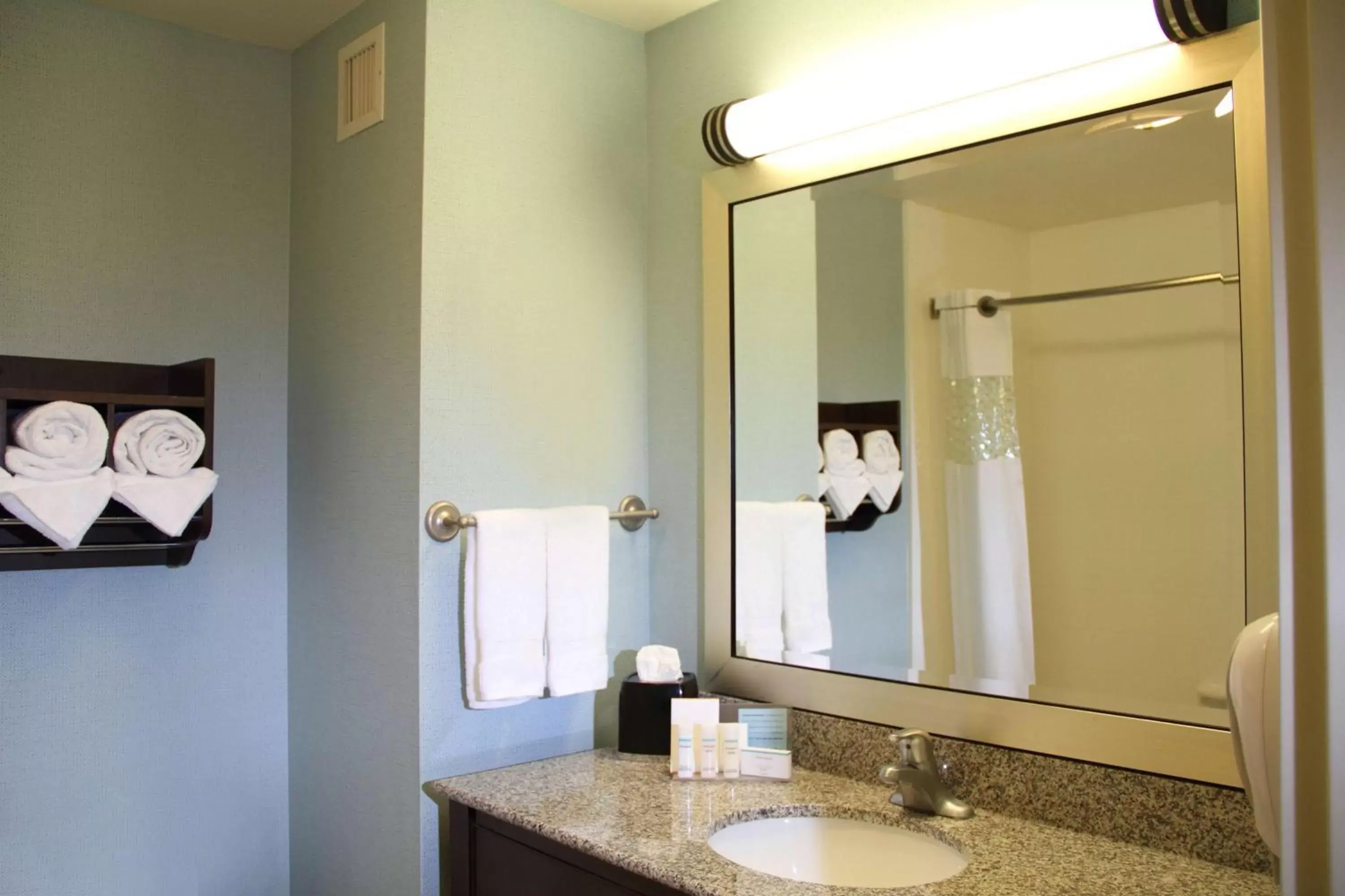 Bathroom in Hampton Inn & Suites Manteca