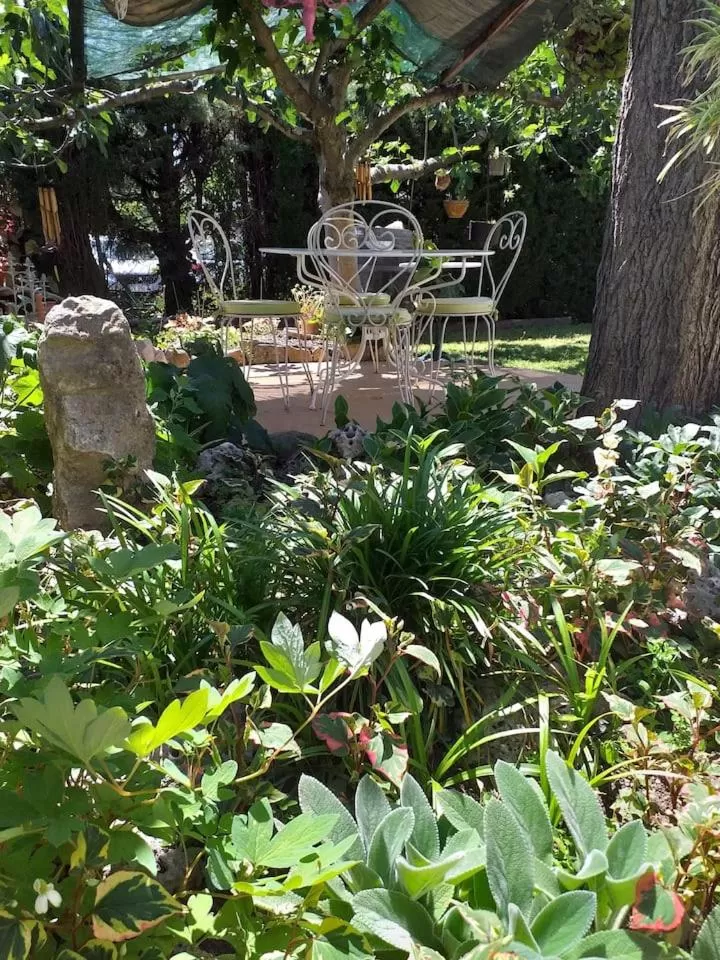 Garden in Fan 36B