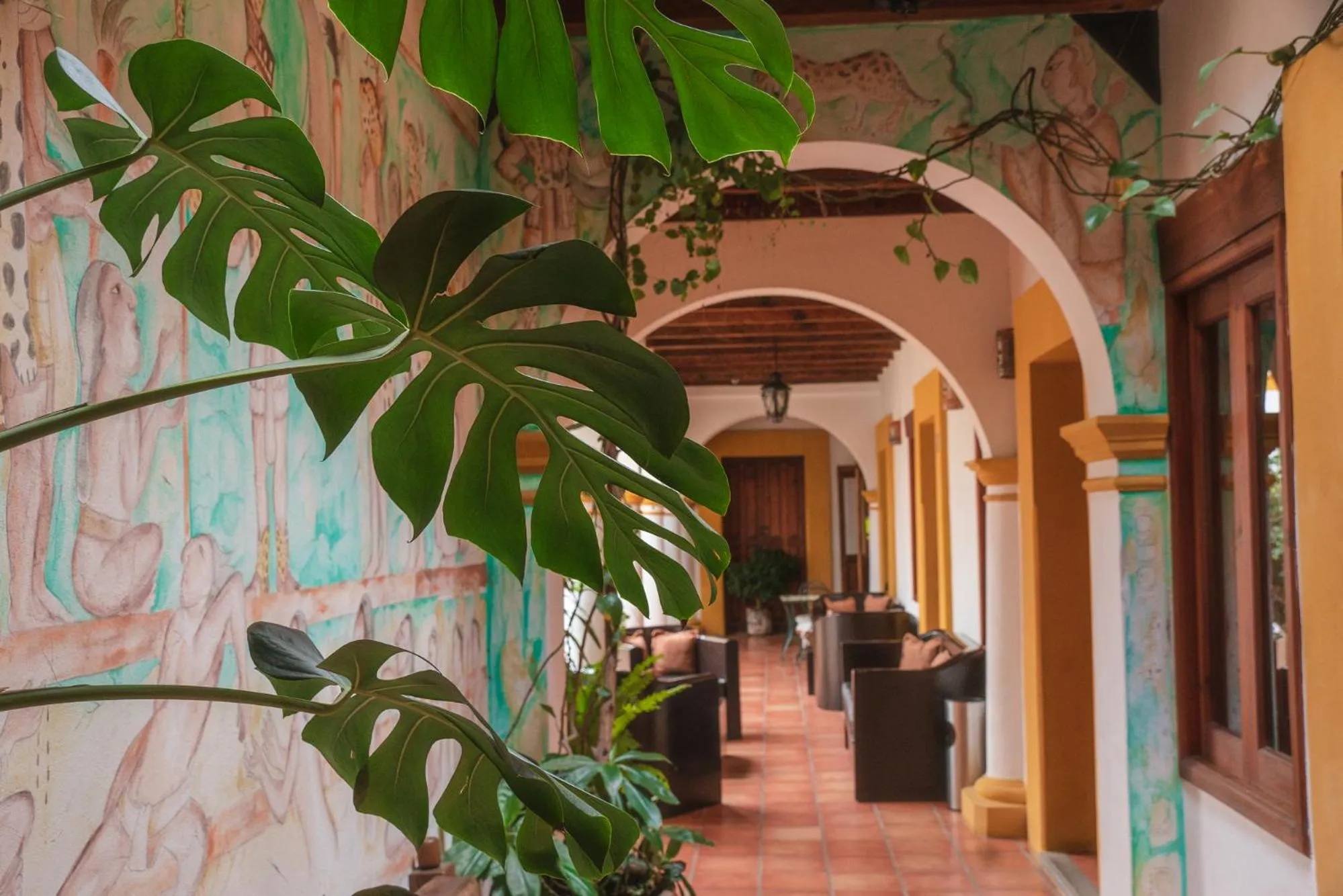 Area and facilities in Hotel Casa Margarita