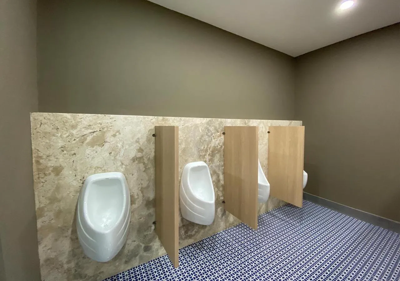 Toilet in Hotel MX más san miguel de allende