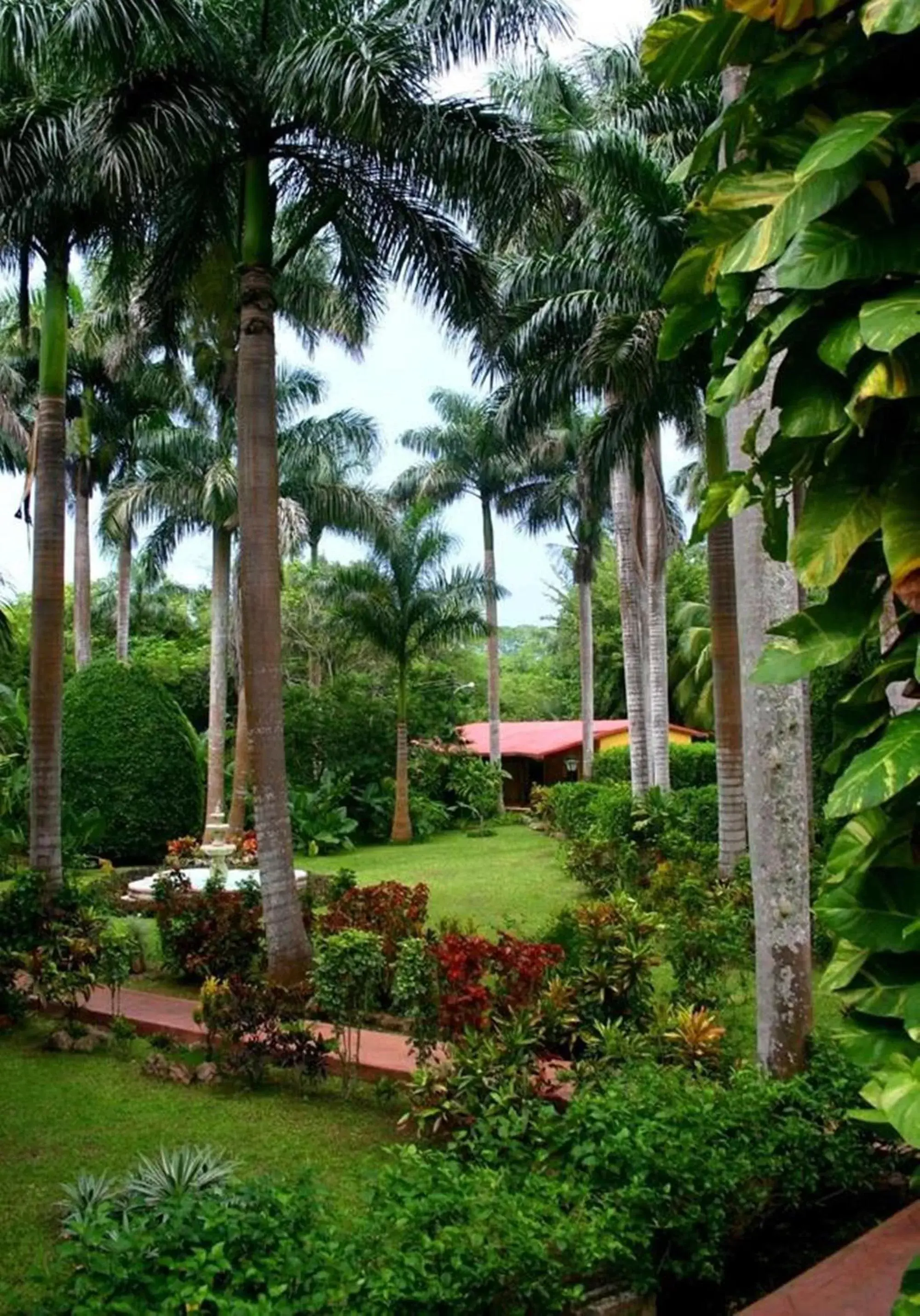 Day, Garden in Hacienda Chichen Resort and Yaxkin Spa