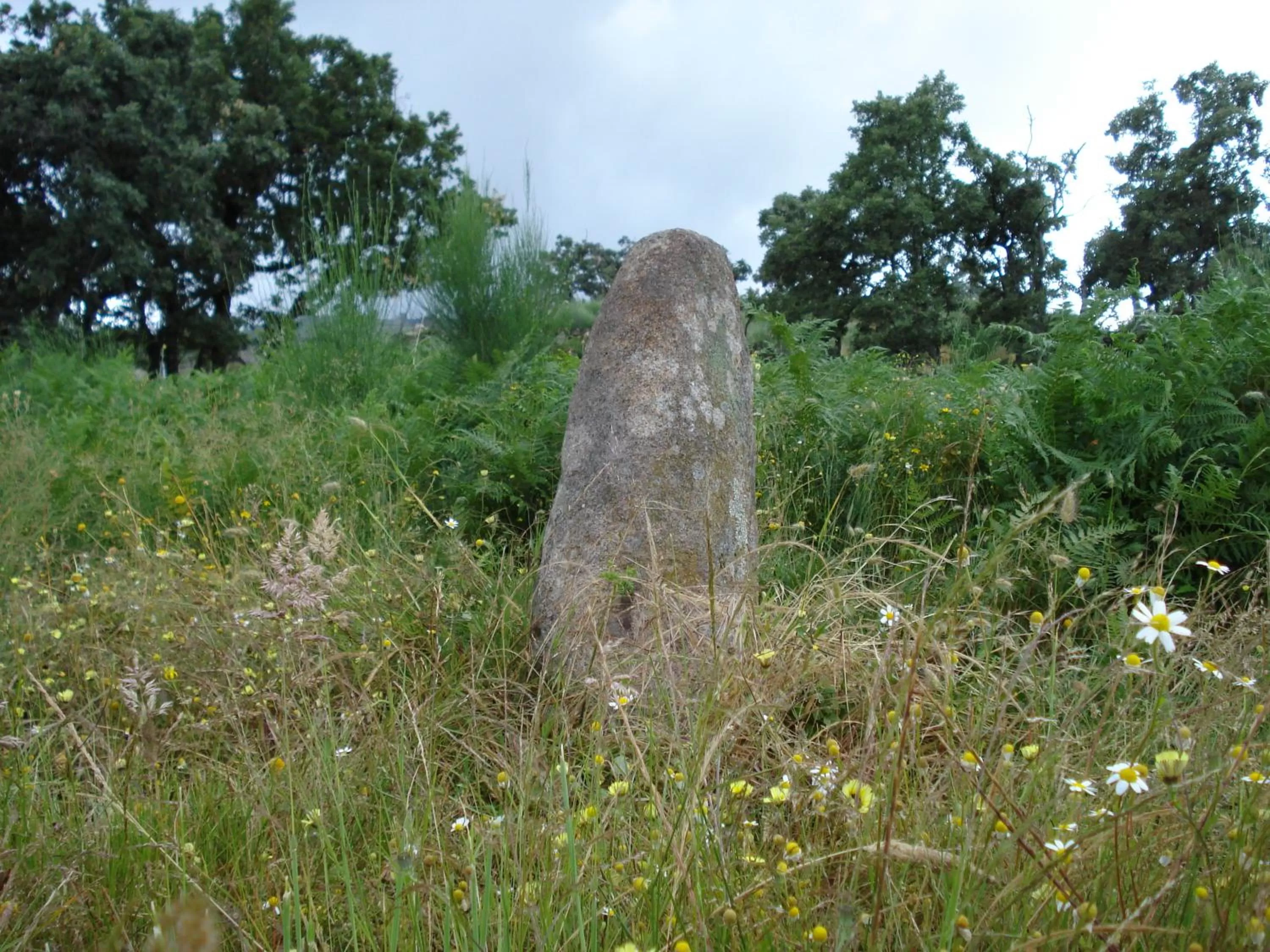 Area and facilities in Dom Dinis Marvão