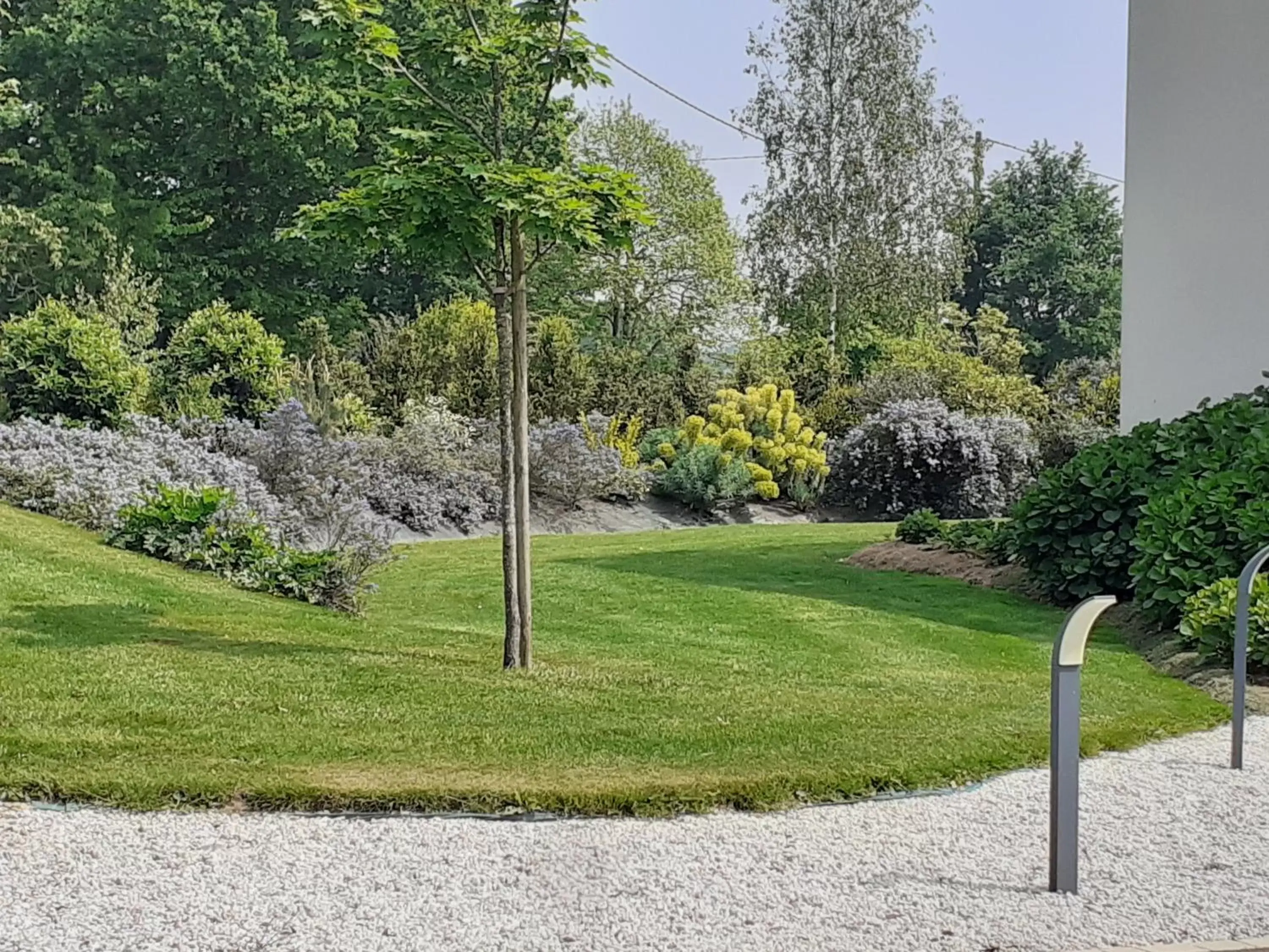 Garden in Chambre d'hôtes Les Bruyères