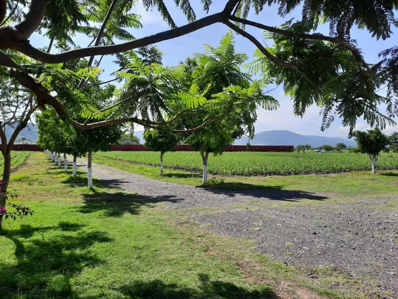 Garden in Hacienda Santa Clara Morelos