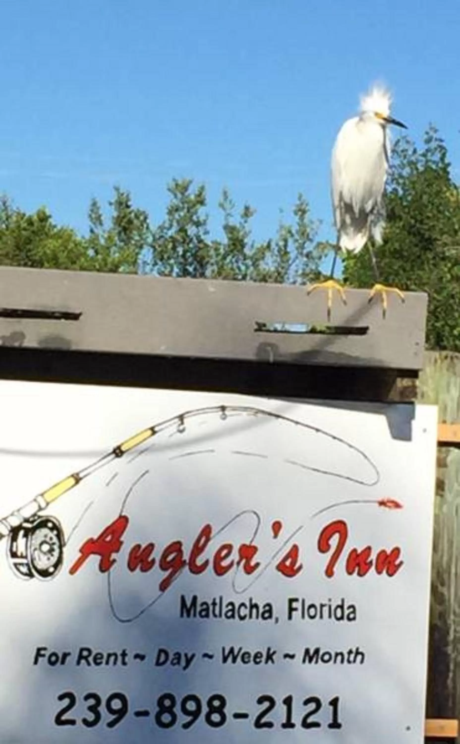 Property logo or sign in Angler's Inn