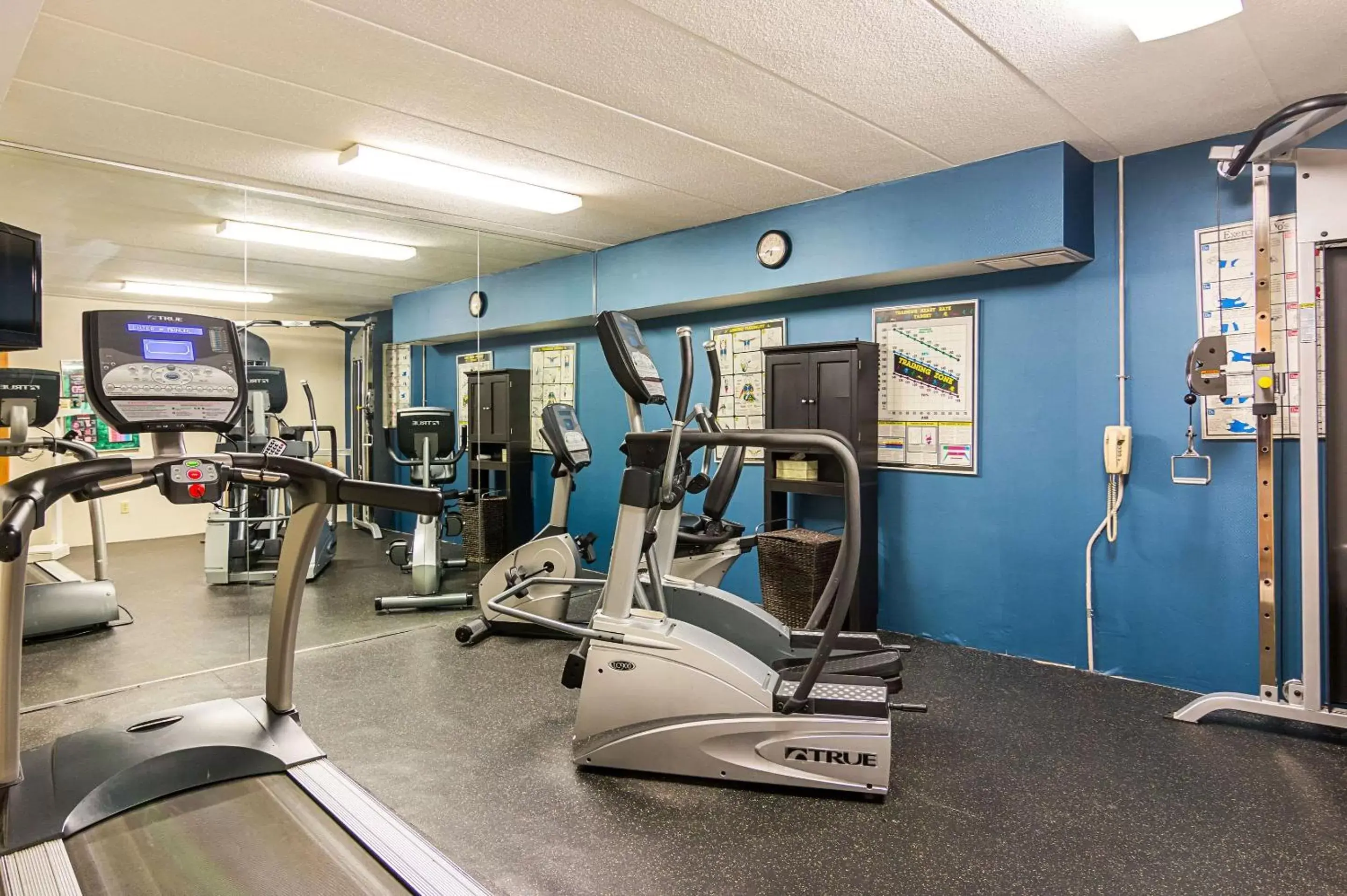 Fitness centre/facilities, Fitness Center/Facilities in Comfort Inn Herndon-Reston