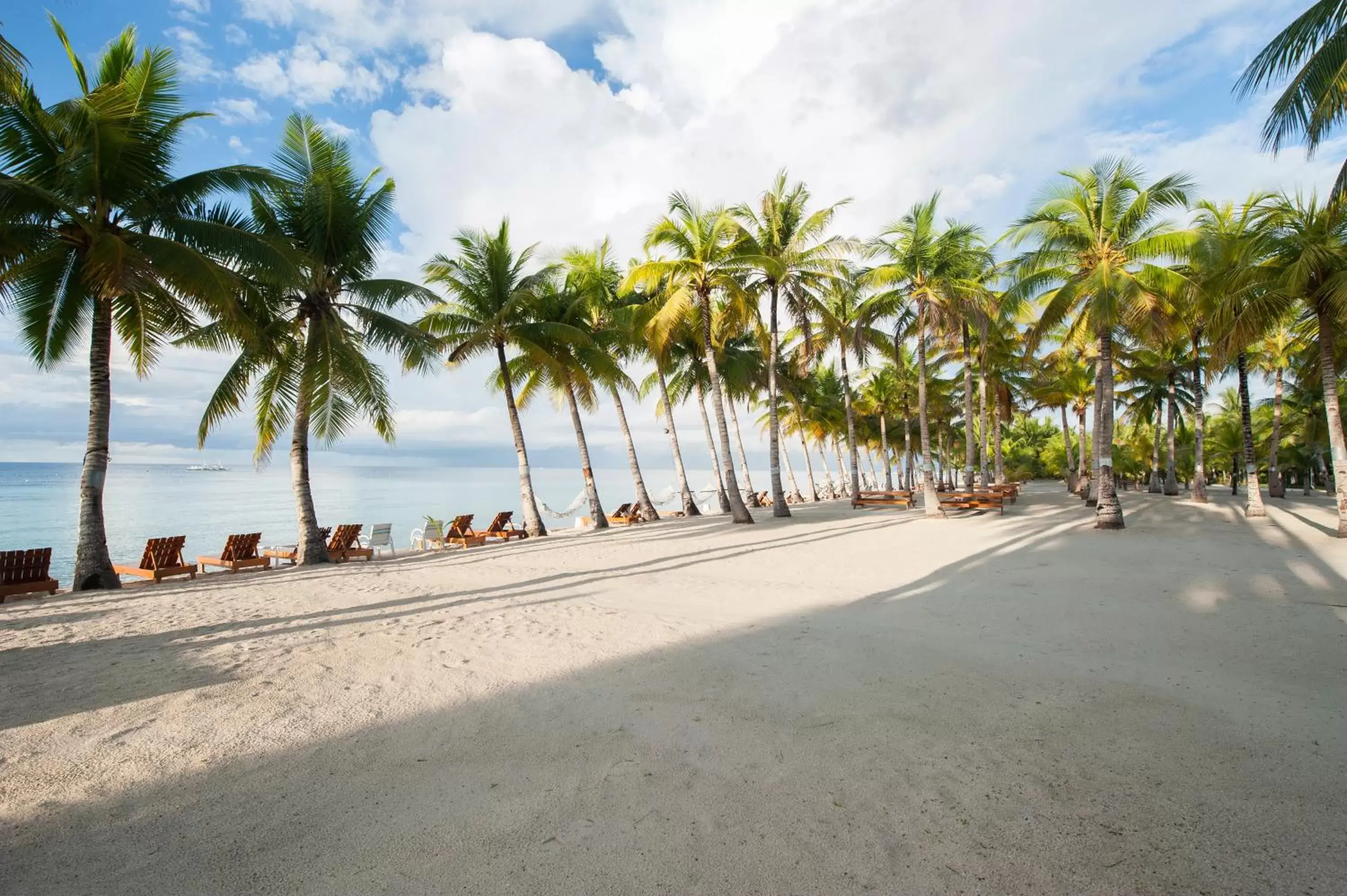 Beach in Bohol Beach Club