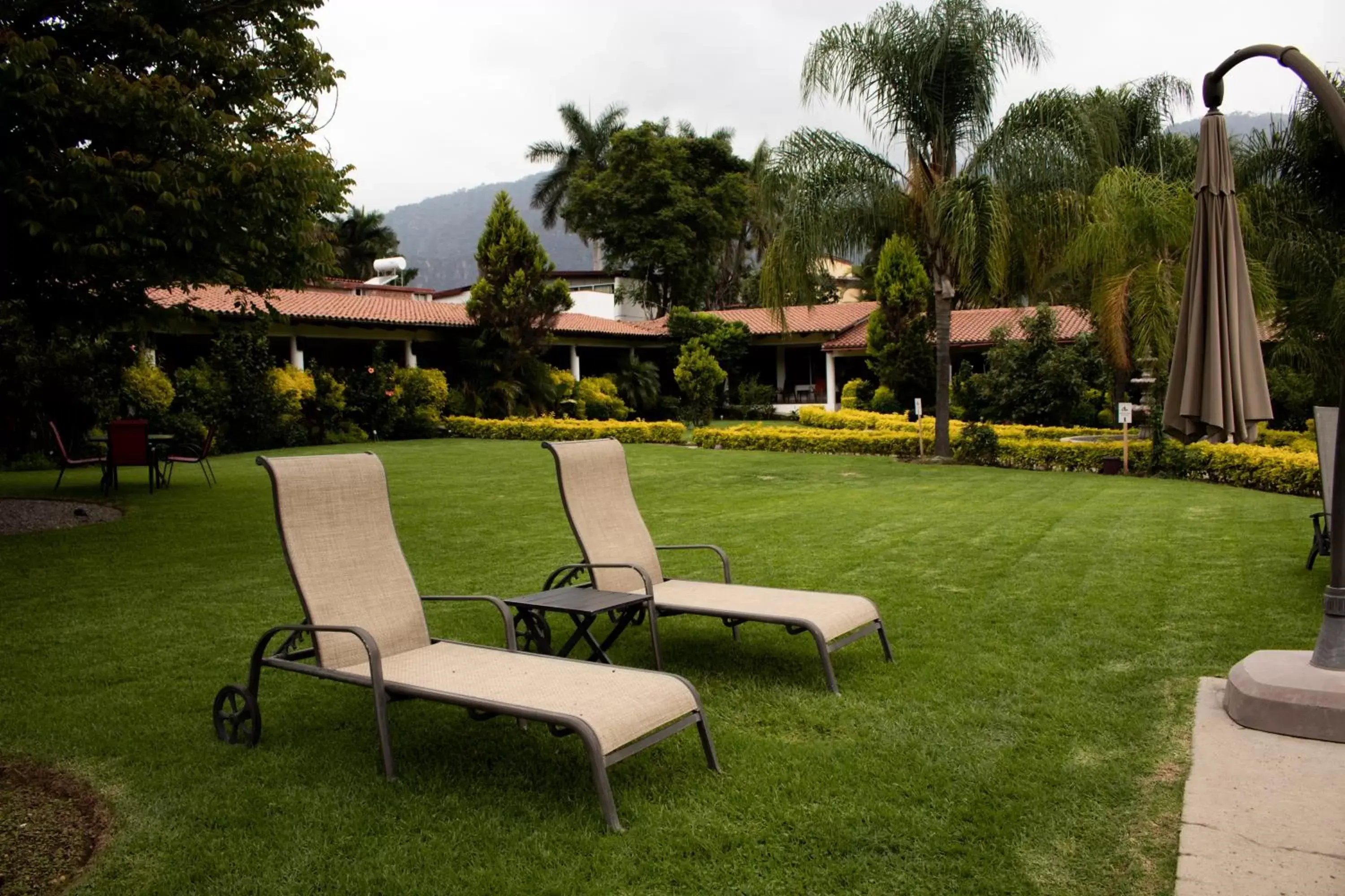 Natural landscape, Garden in Posada La Presa