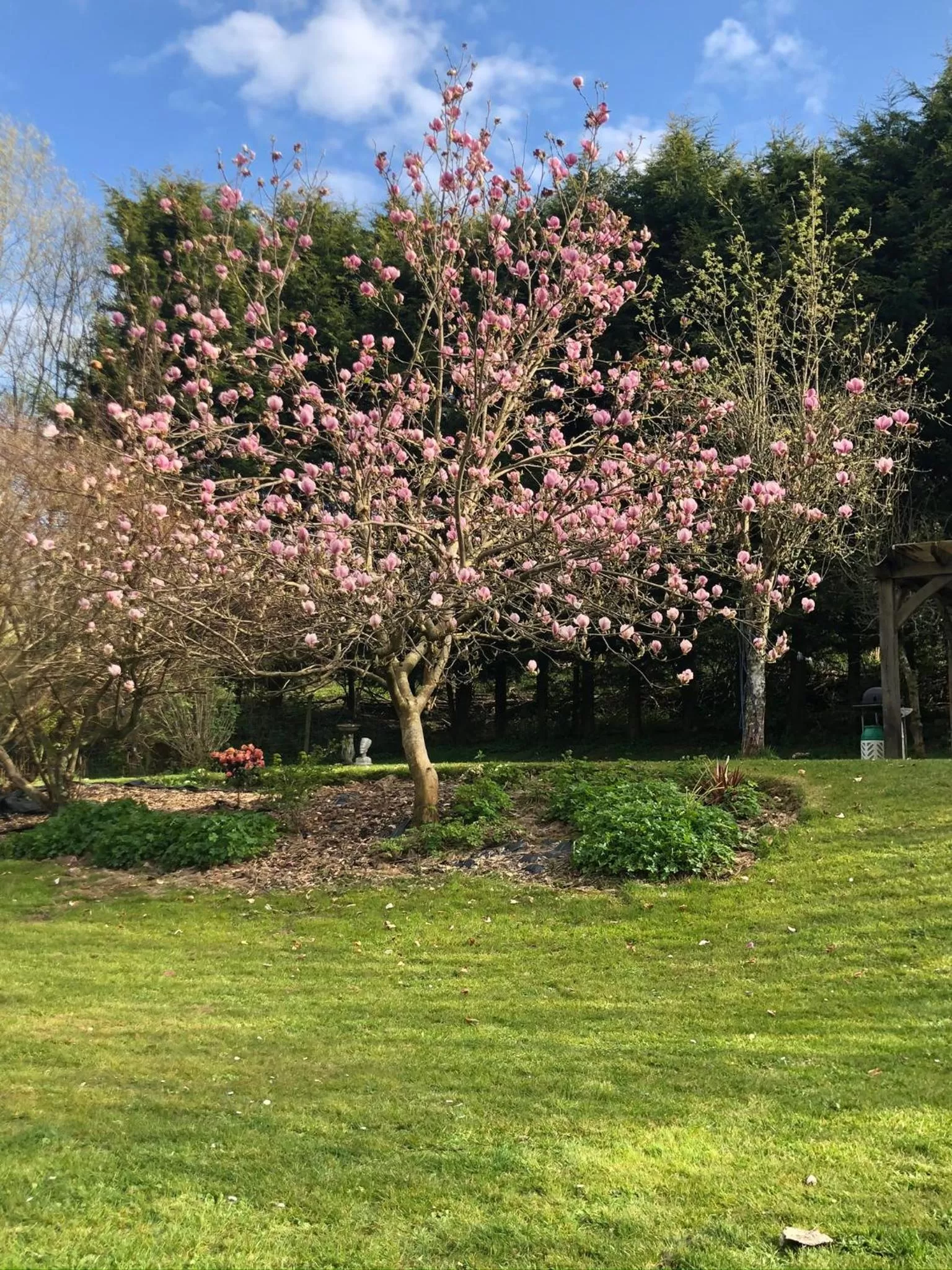 Natural landscape, Garden in South Lodge House