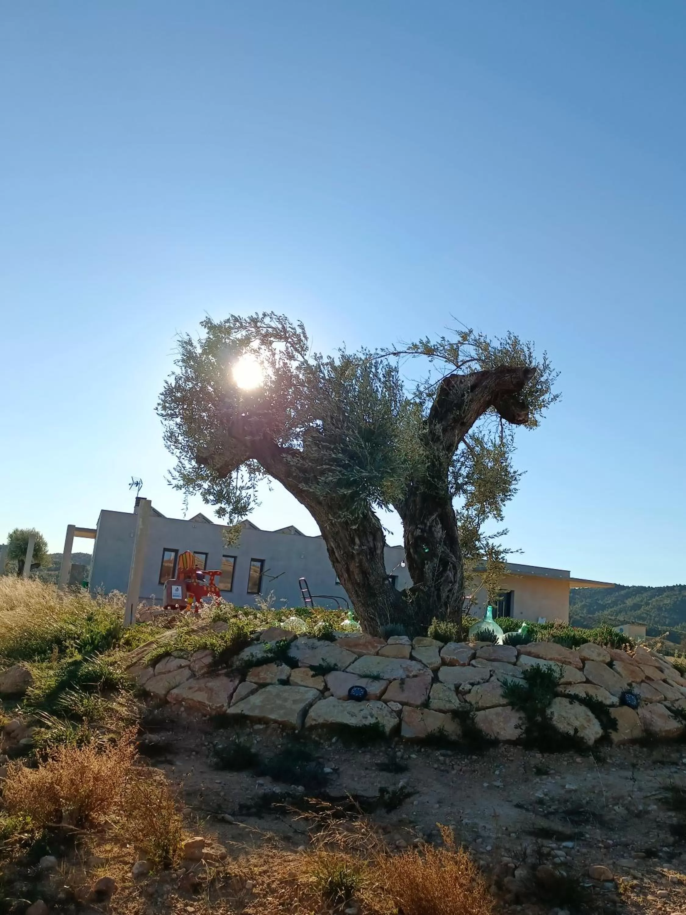 Off site, Property Building in Cabezo Buñuel Hostal