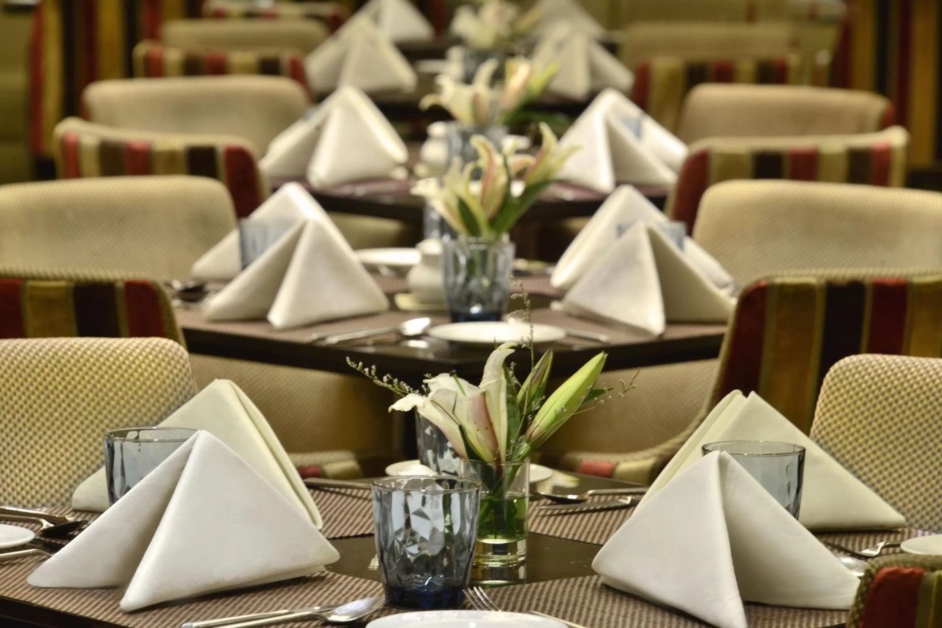 Restaurant/places to eat in Radisson Blu Jaipur