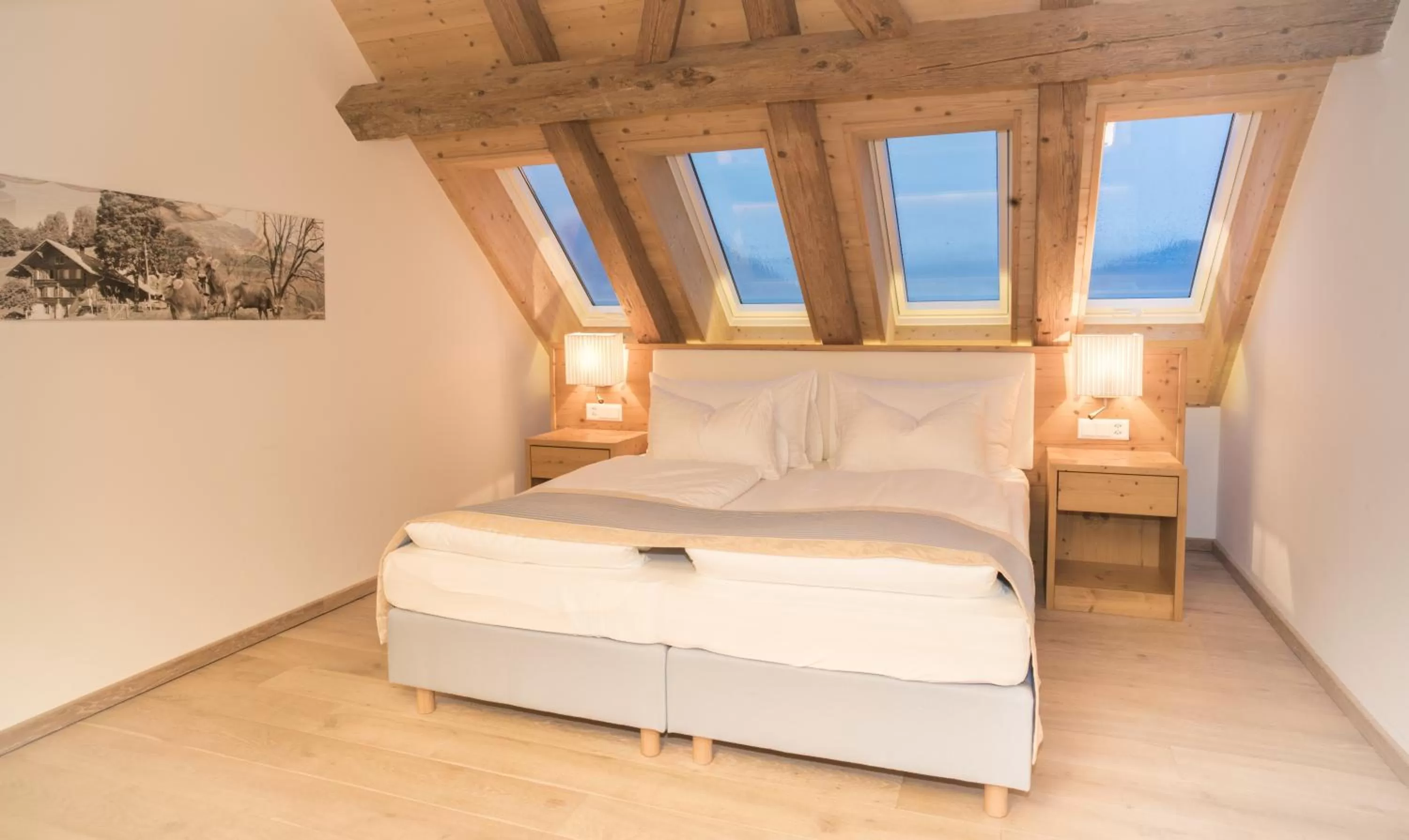 Standard Double Suite in Hotel Friedheim Weggis