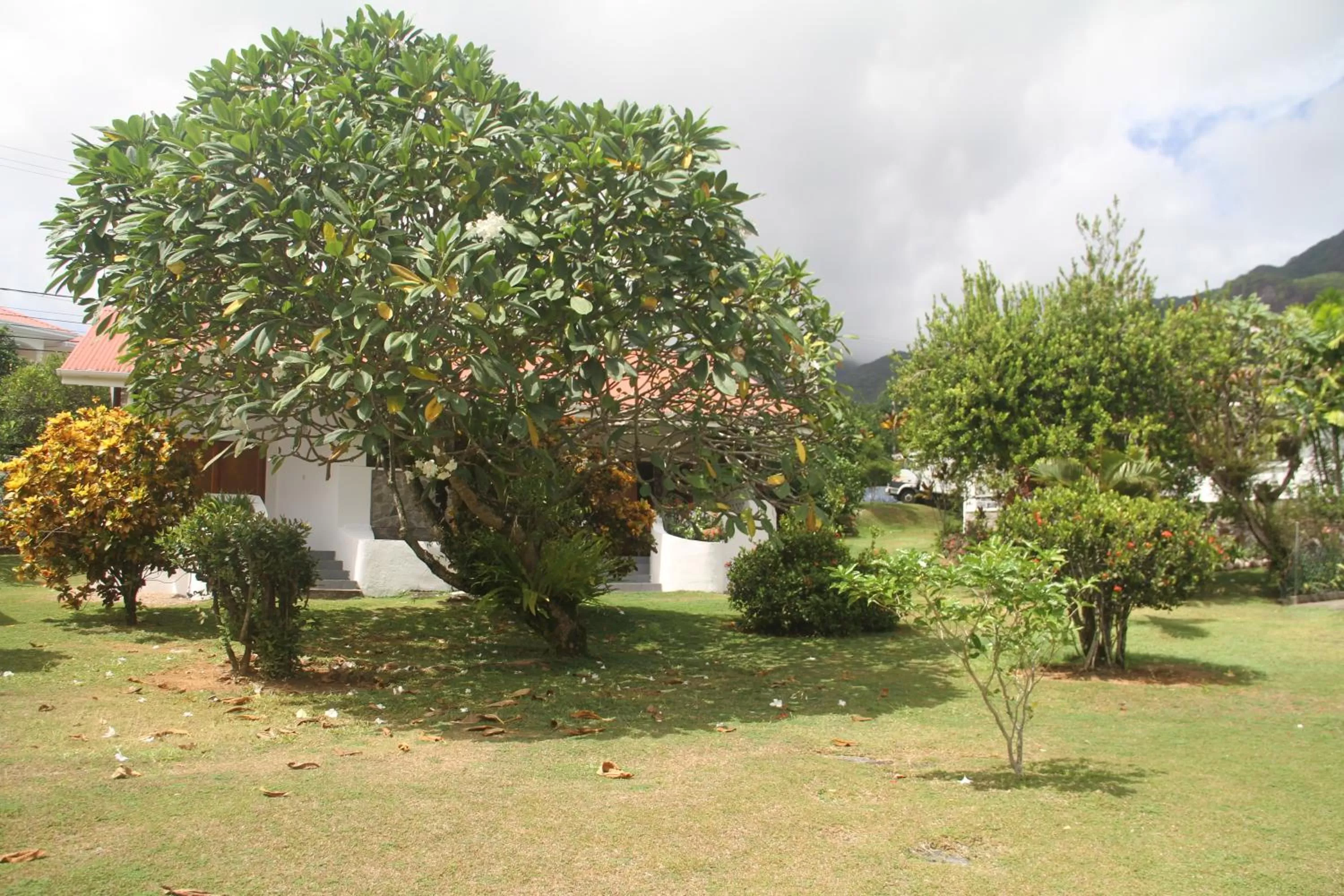 Garden in Daniella's Bungalows