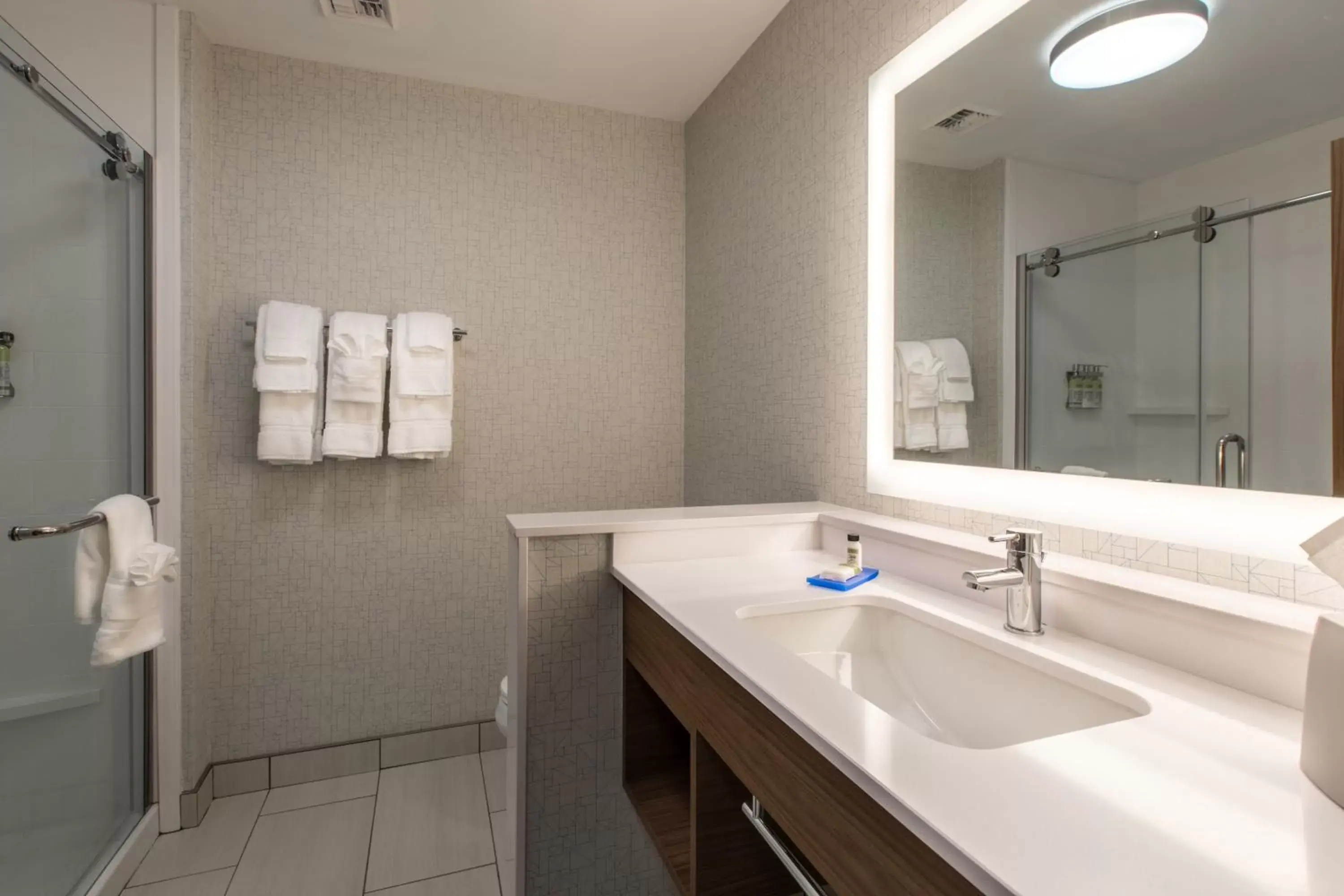 Bathroom in Holiday Inn Express & Suites Greenville S - Piedmont, an IHG Hotel
