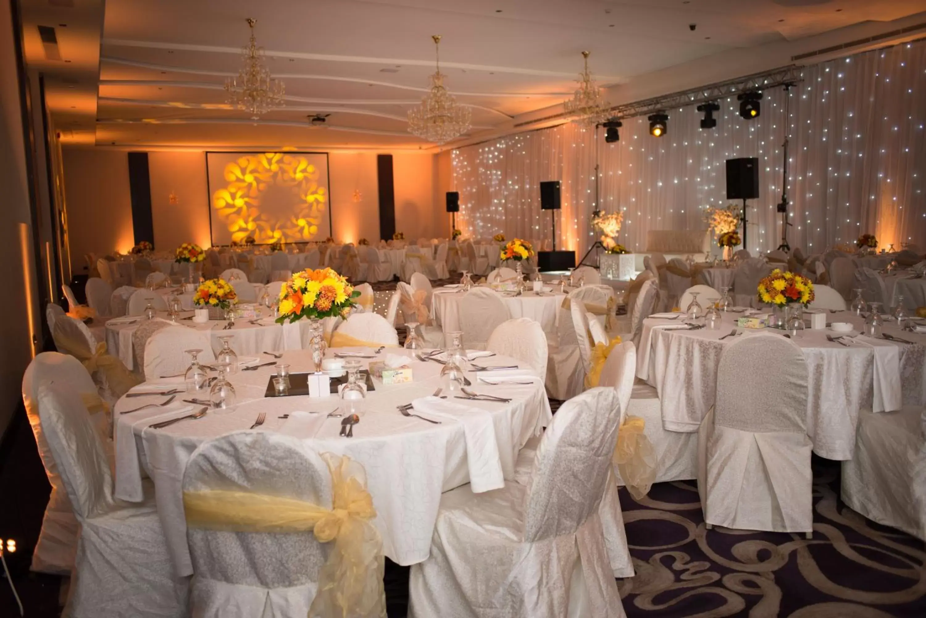 Banquet/Function facilities, Banquet Facilities in Century Park Hotel