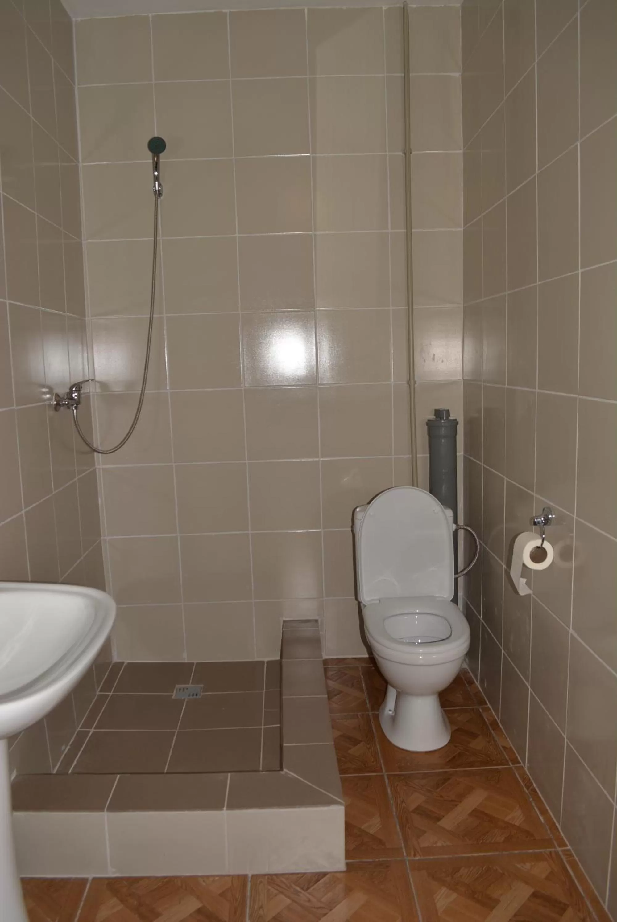 Bathroom in Zelenyi Kampus