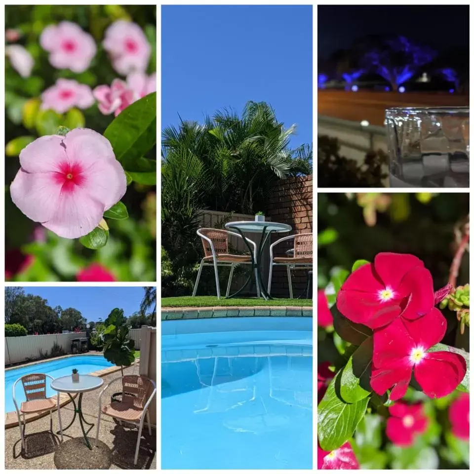 Swimming Pool in Beachside Motor Inn