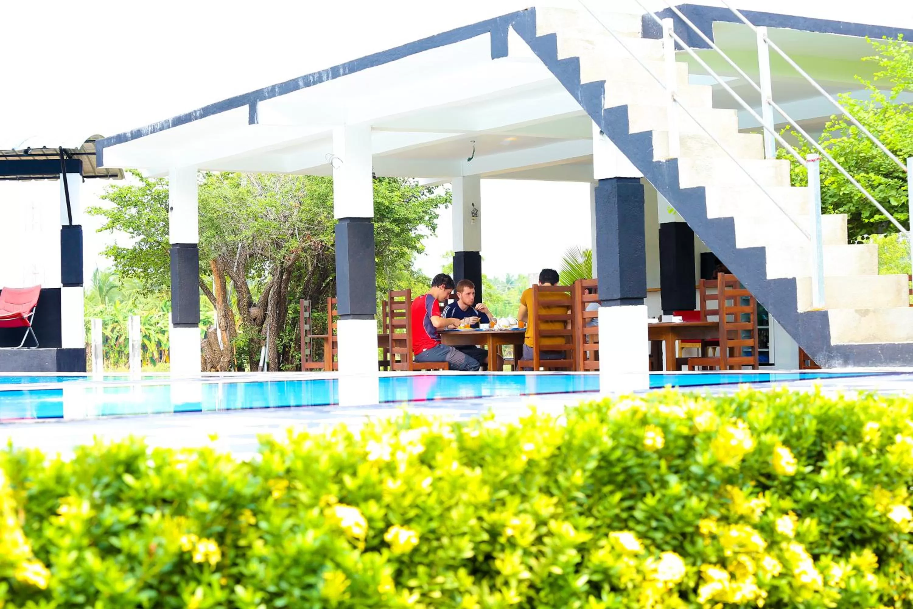 Swimming pool in Eco Hotel Black & White - Anuradhapura