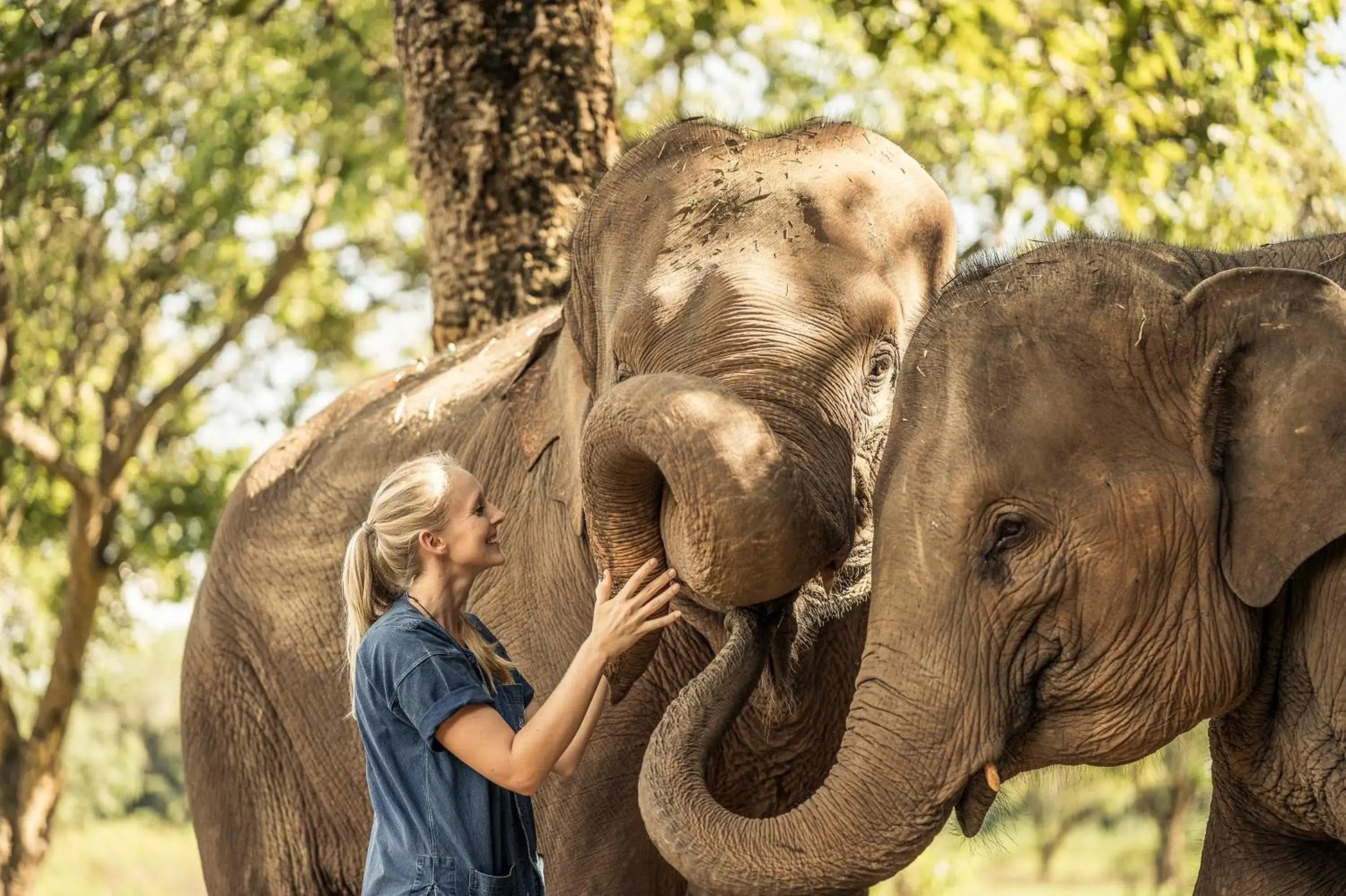 Garden, Other Animals in Anantara Golden Triangle Elephant Camp & Resort