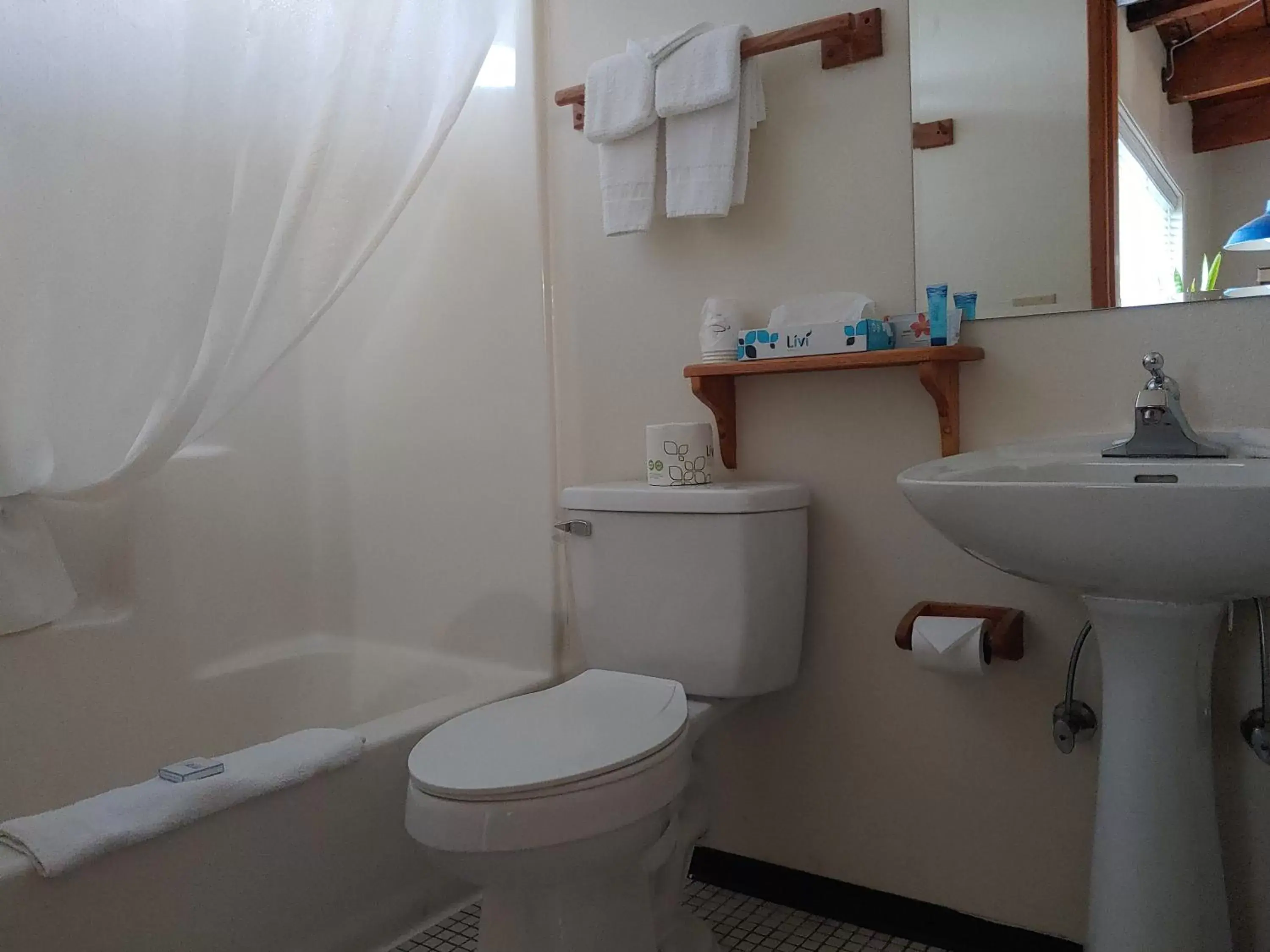 Toilet, Bathroom in The Dublin House Motel