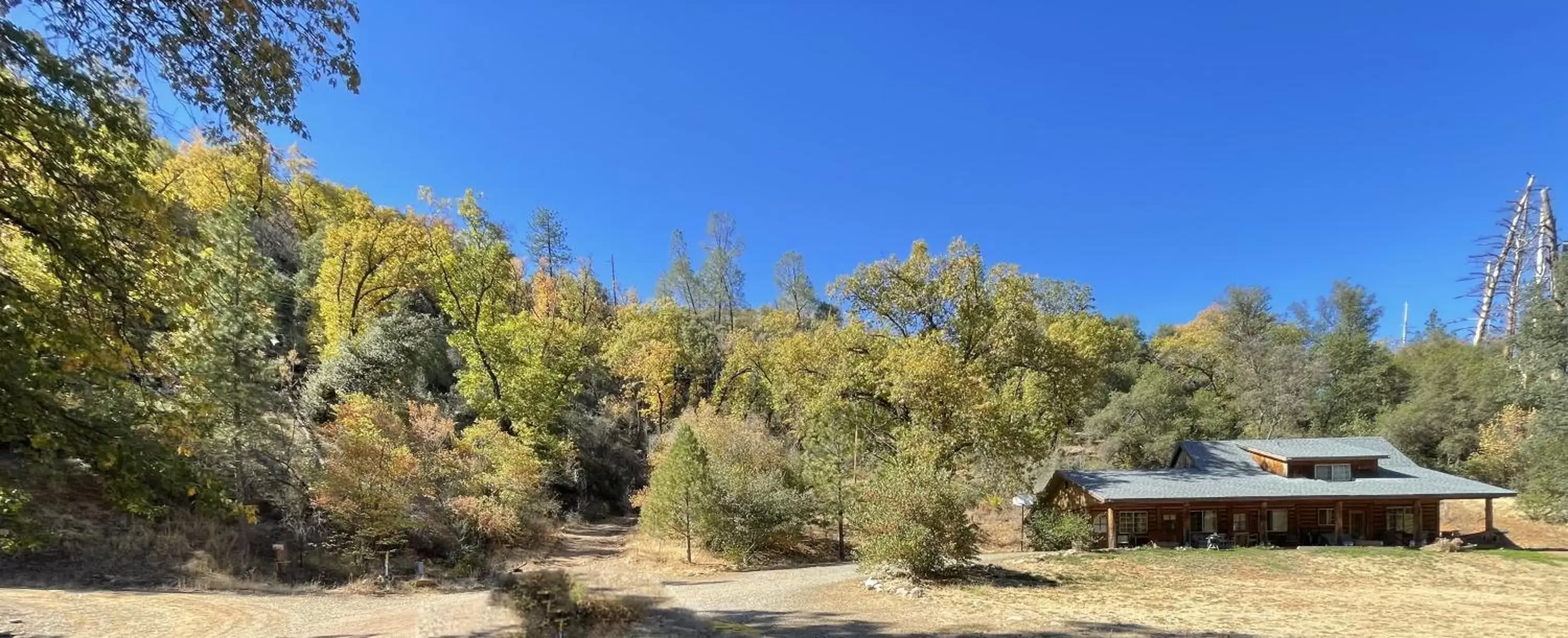 Property Building in Bear Creek Cabins