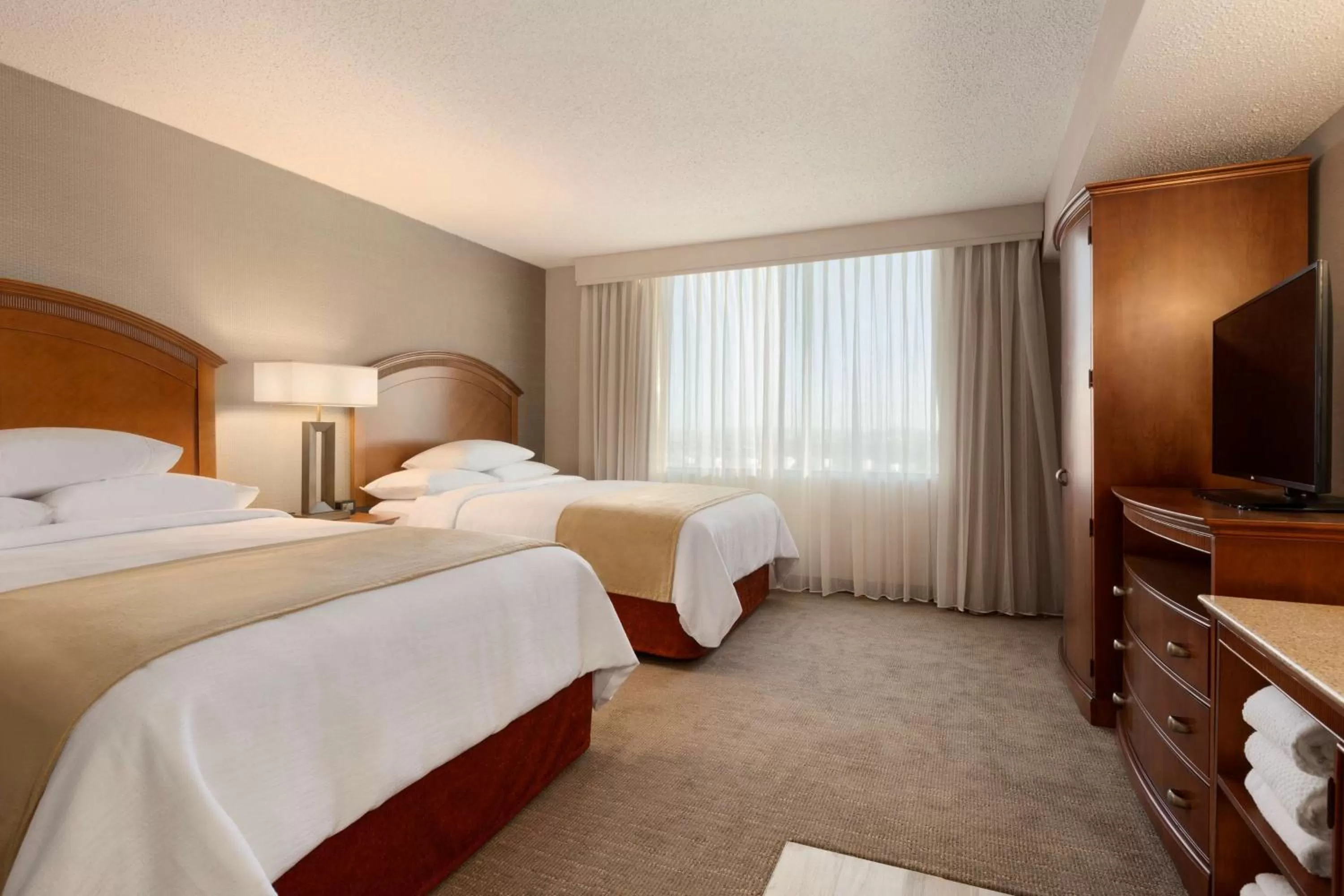 One-Bedroom Queen Suite - Disability Access/Non-Smoking in Embassy Suites by Hilton El Paso