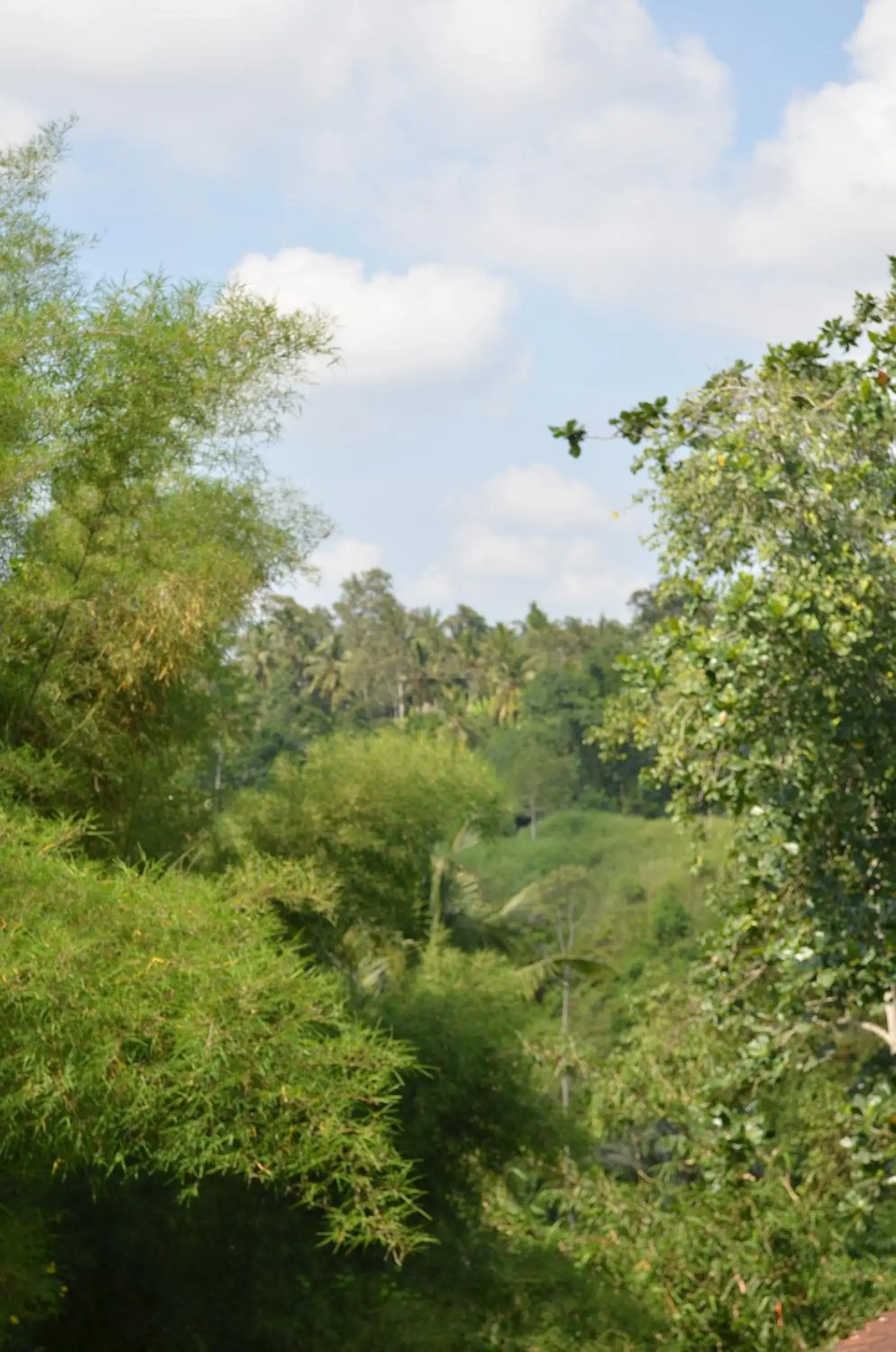 View (from property/room), Natural Landscape in Wijaya Guest House