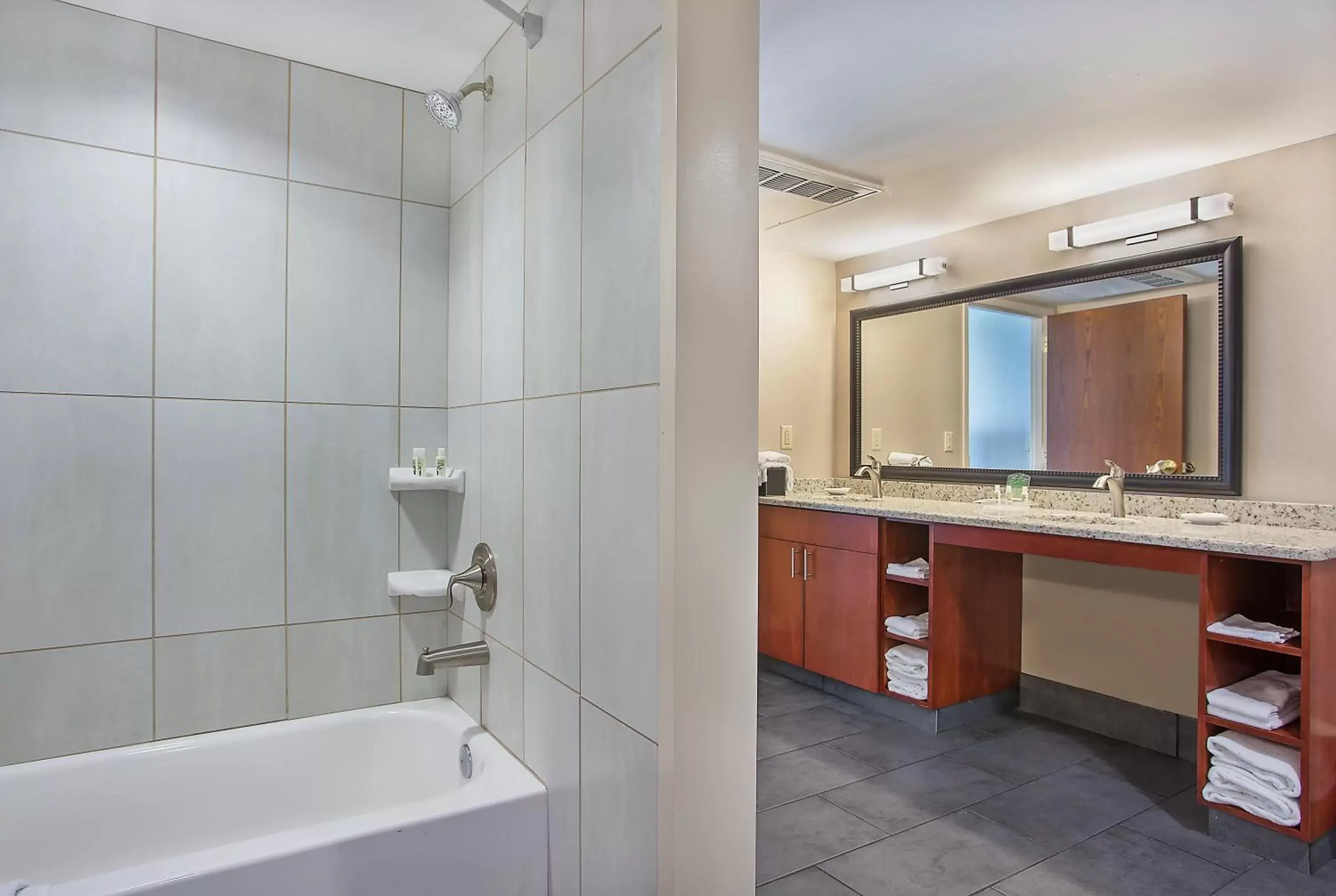 Bedroom, Bathroom in Holiday Inn University Plaza-Bowling Green, an IHG Hotel