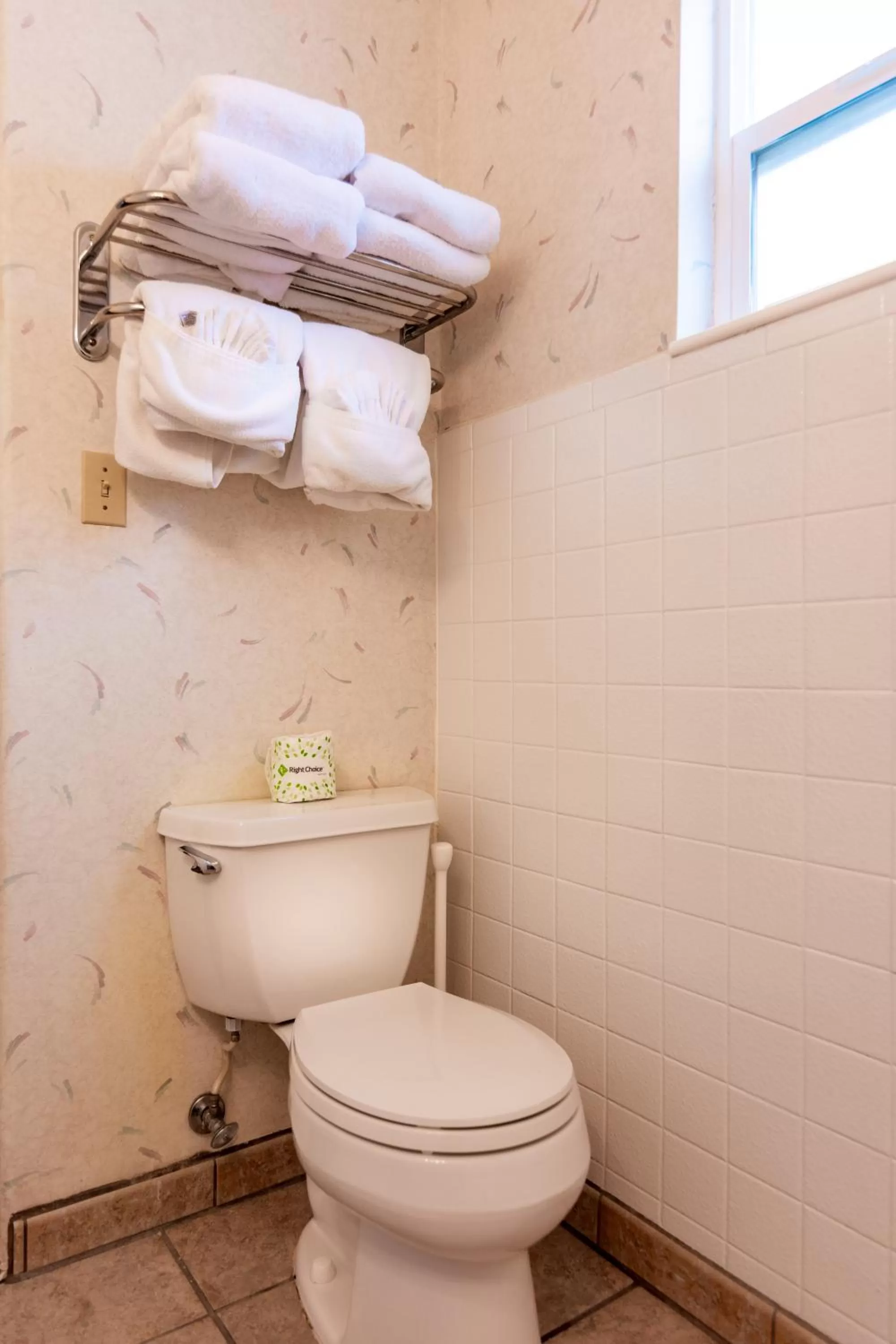 Toilet in Swiss Alps Inn