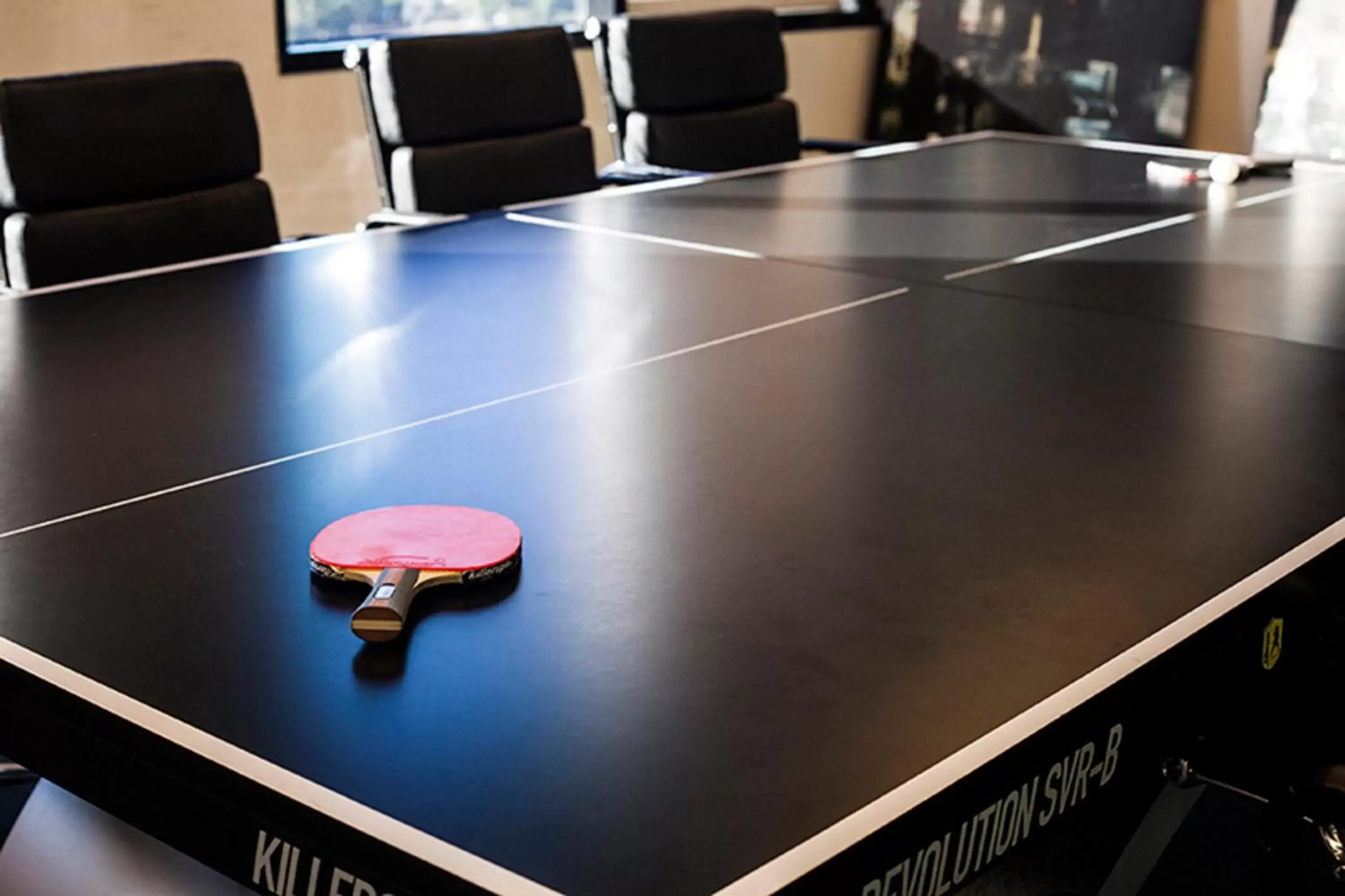 Sports, Table Tennis in Hotel AGC