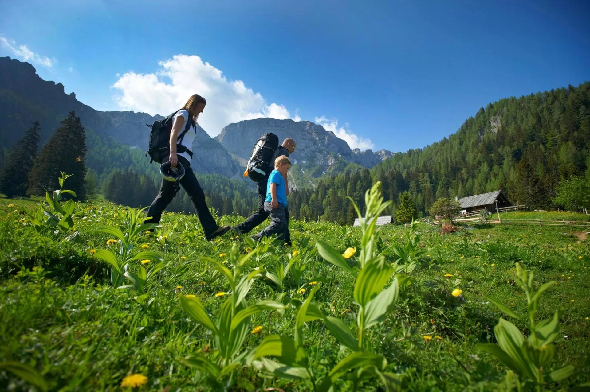 BikeSki family hotel, b&b, apartaments, rooms