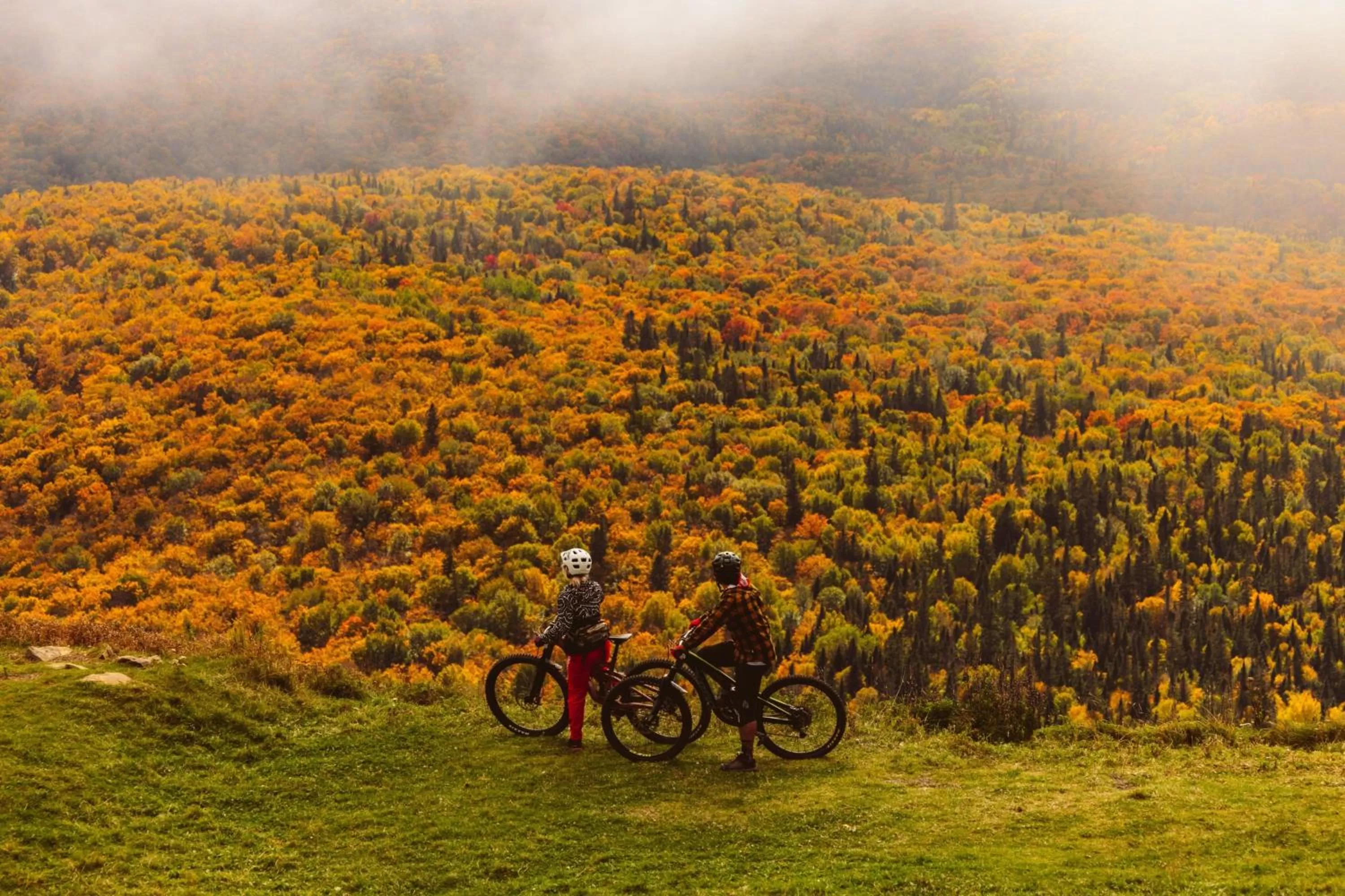 Other in Delta Hotels by Marriott Mont Sainte-Anne, Resort & Convention Center