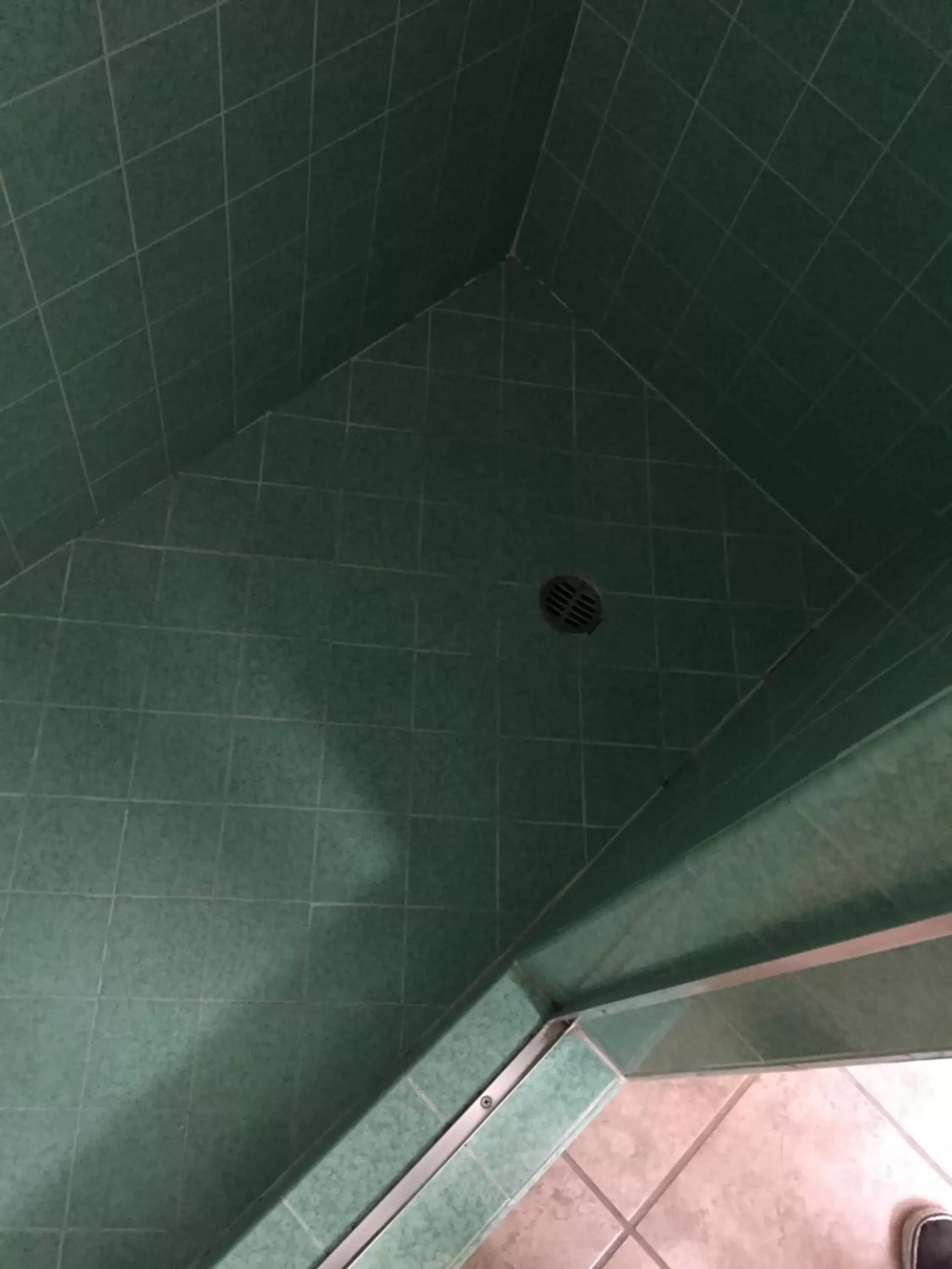 Shower, Bathroom in Robinhood Resort