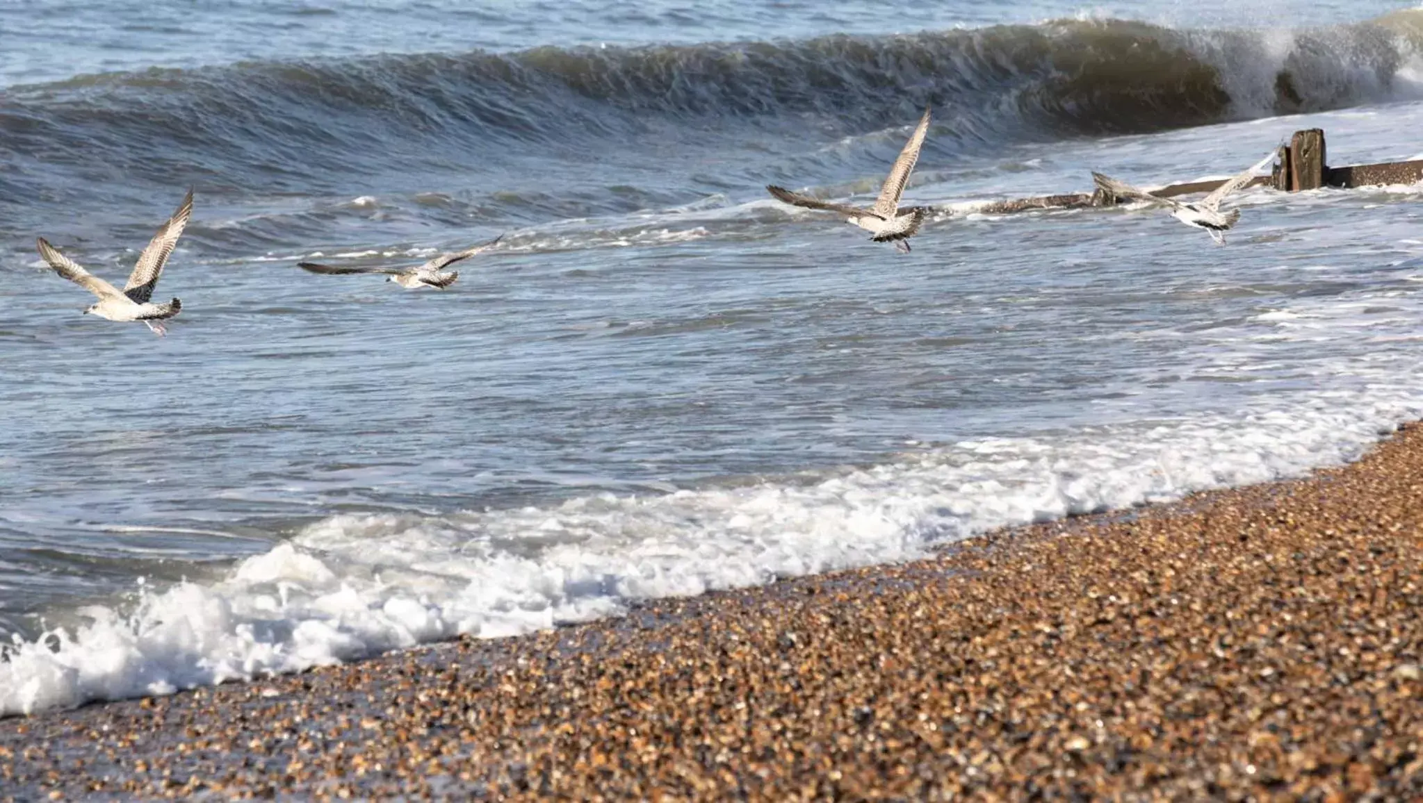 Bird's eye view, Beach in The Relais Cooden Beach