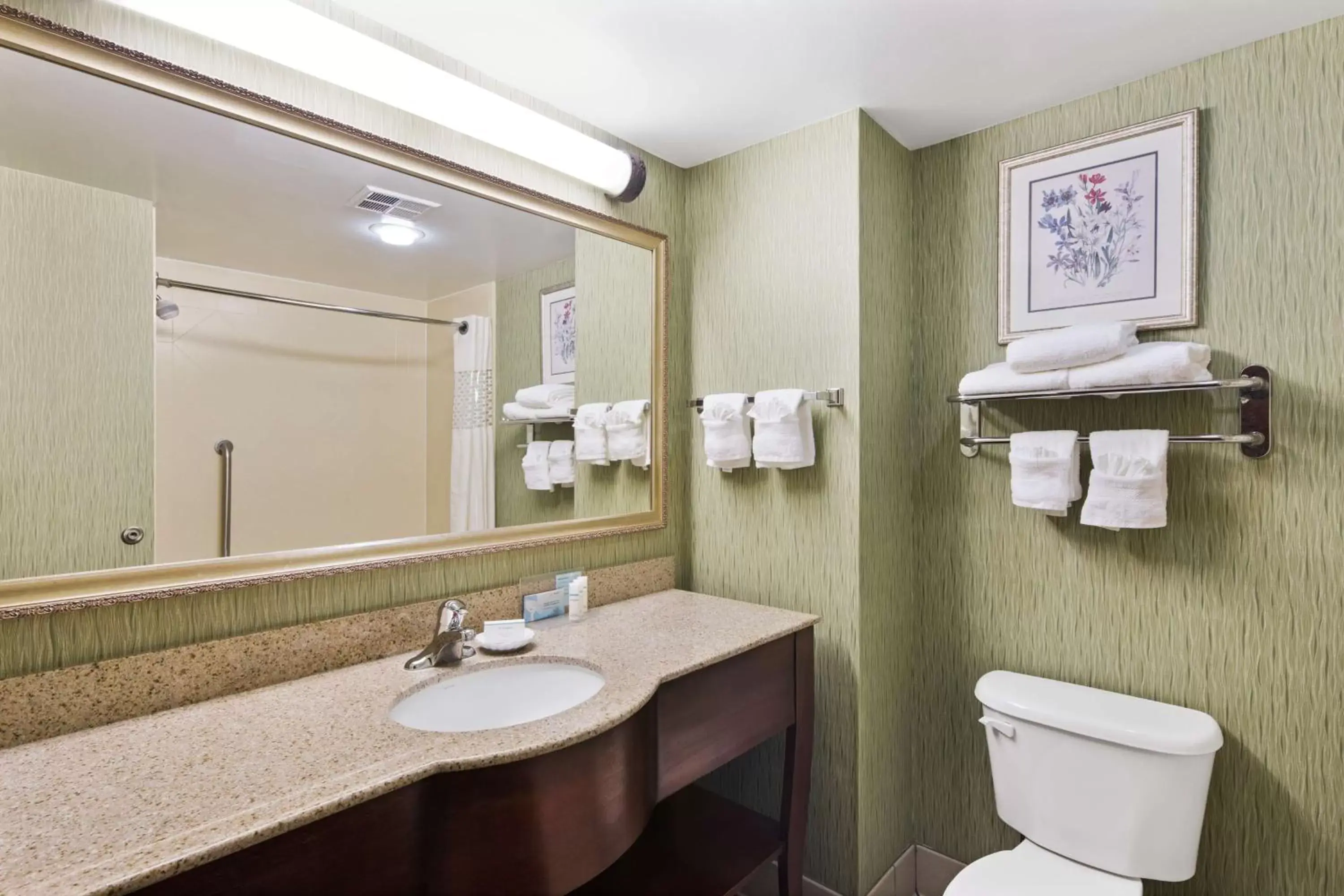 Bathroom in Hampton Inn By Hilton Hinesville, Ga