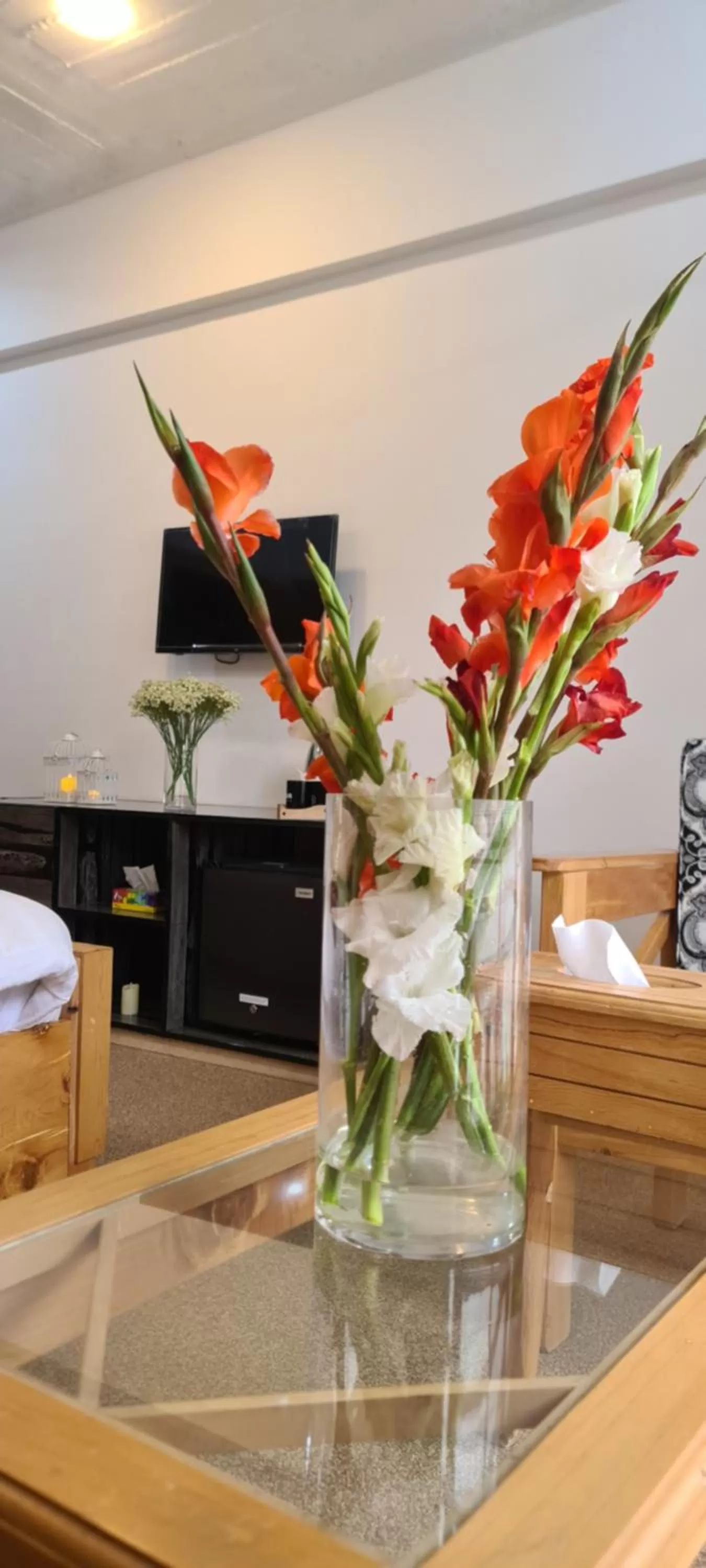 TV and multimedia in Indus Lodges Gilgit