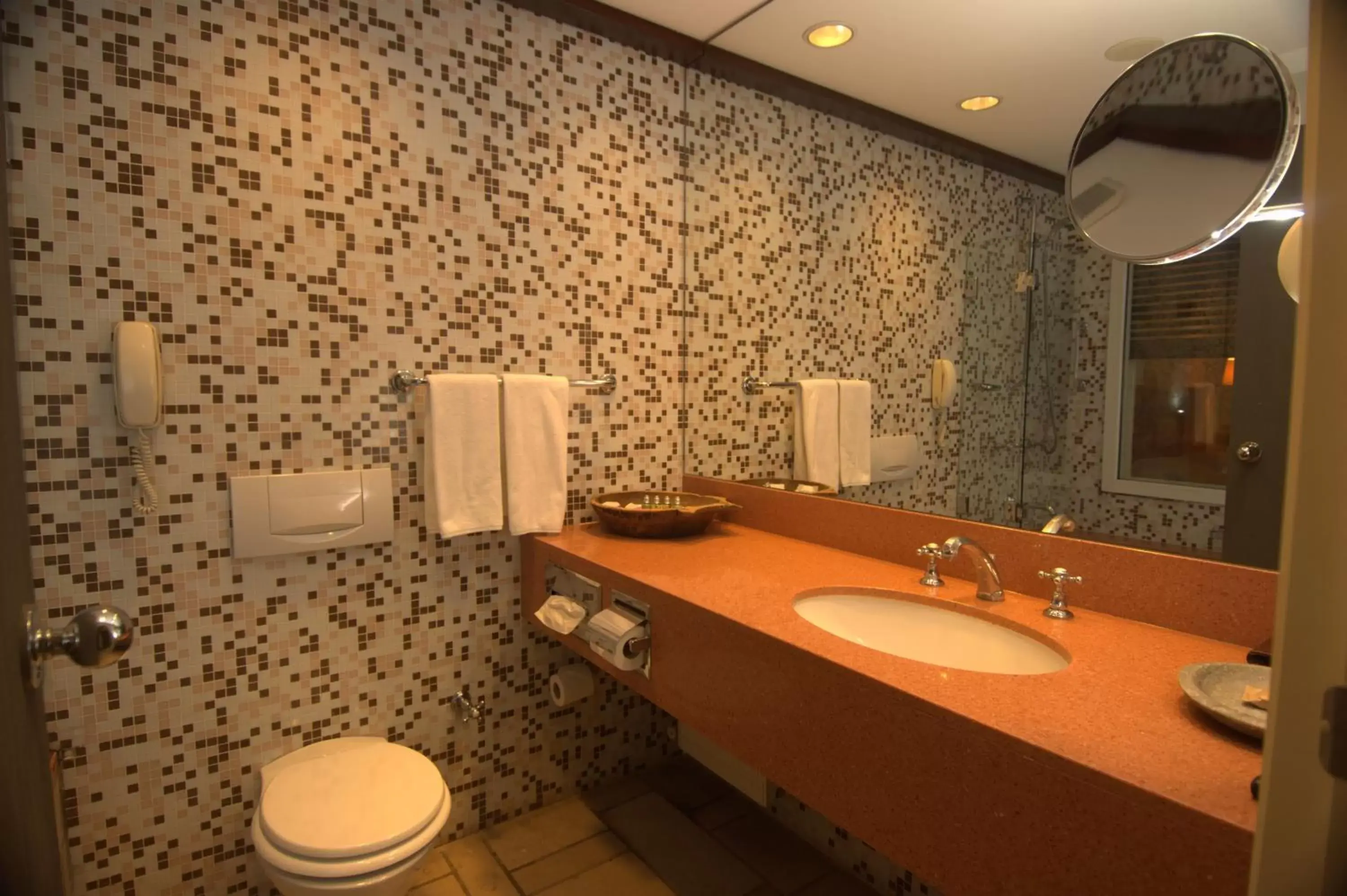 Toilet, Bathroom in The Marmara Bodrum - Adult Only