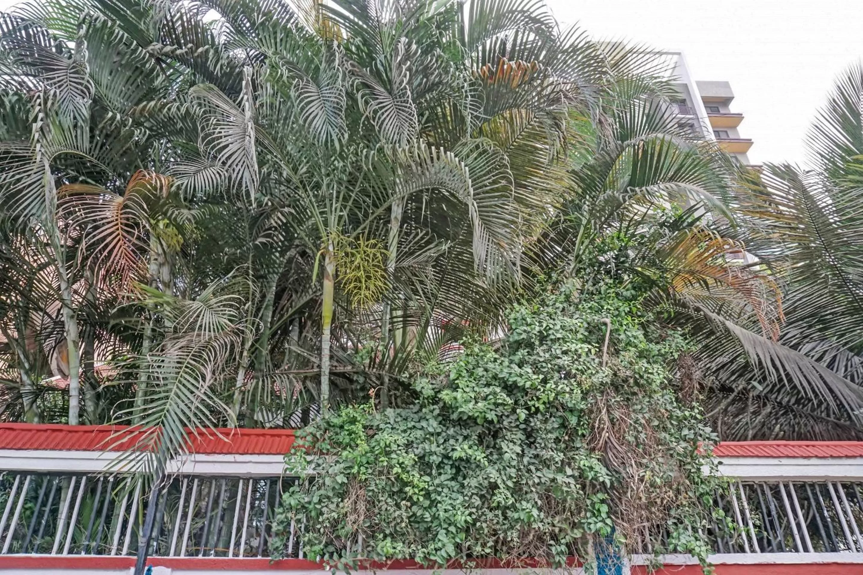 Facade/entrance in OYO Flagship 87488 Motel Excellency